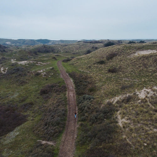 The dunes of North-Holland