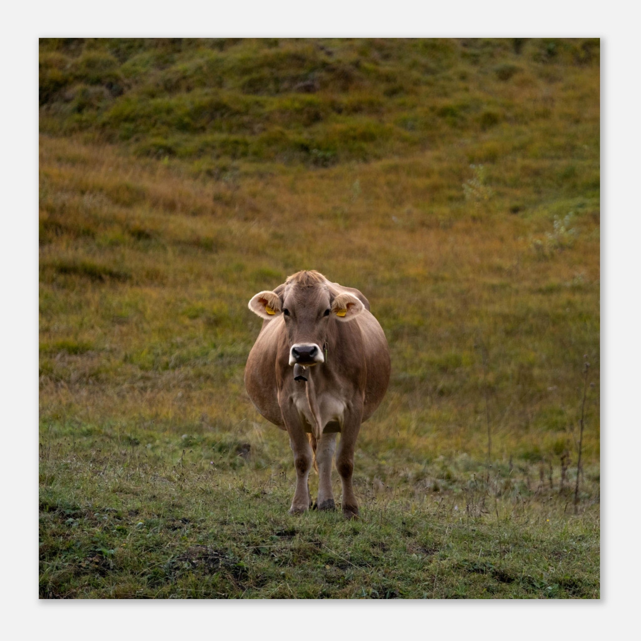 01a2345e-4d55-4f37-b3a1-17f0d7157d80