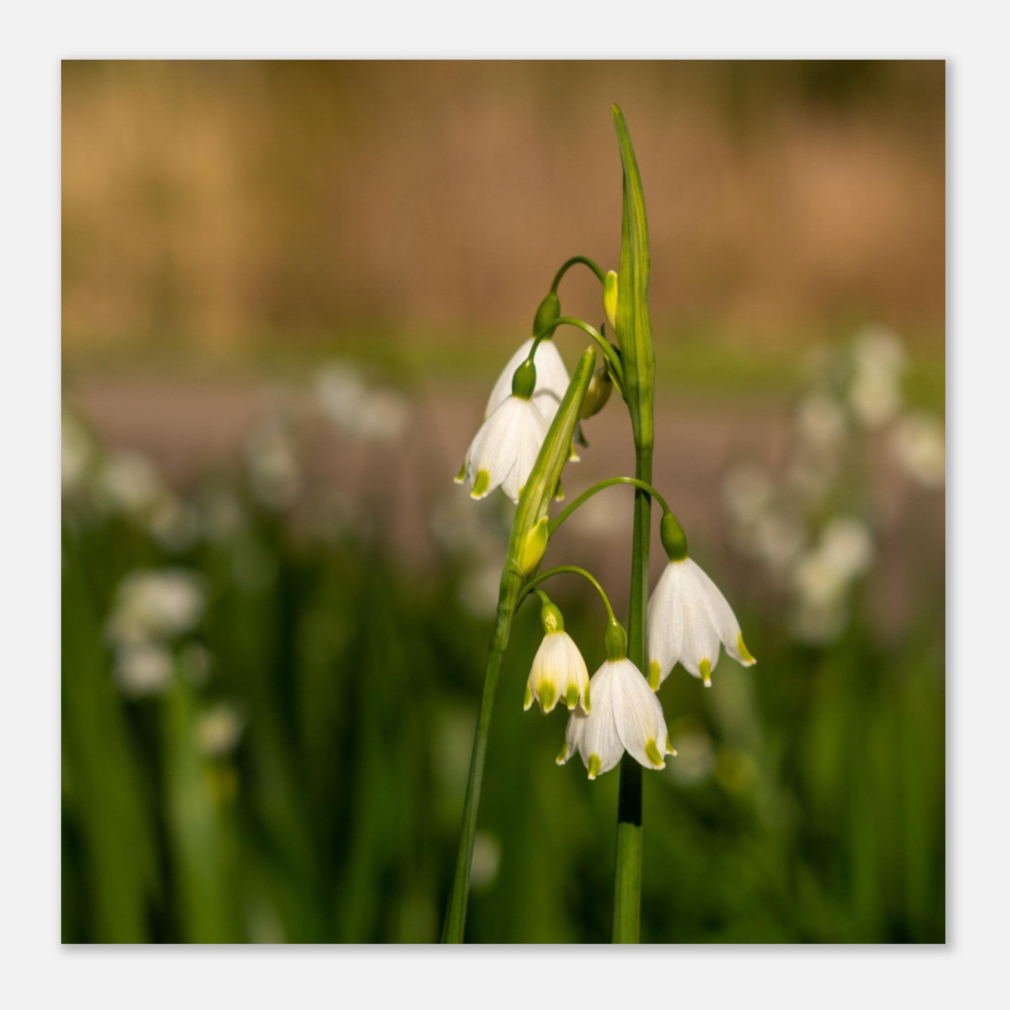 04177dbb-34b6-4eba-8524-c1116cd89eb3