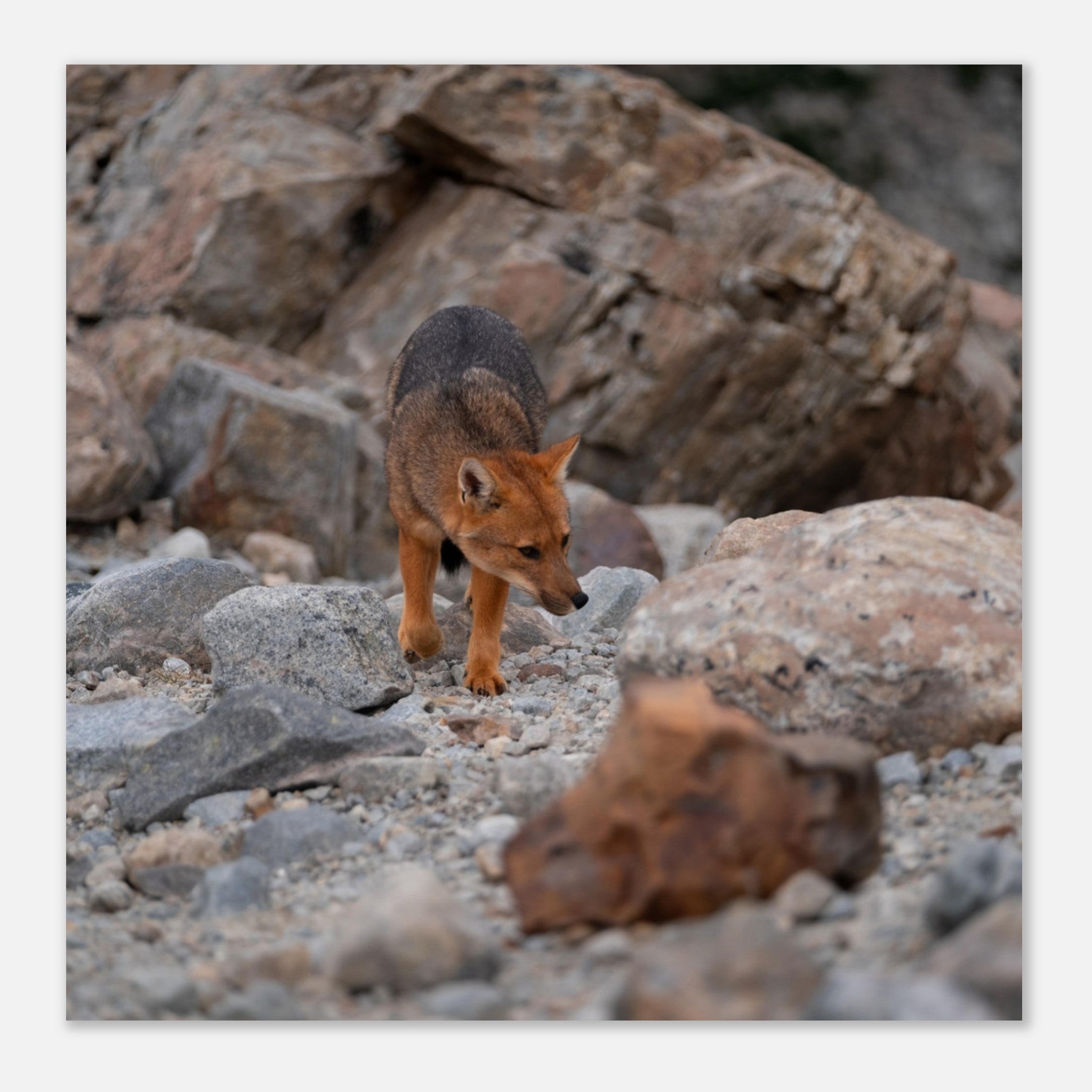 06374234-cde5-4280-89d7-49d09884dc48