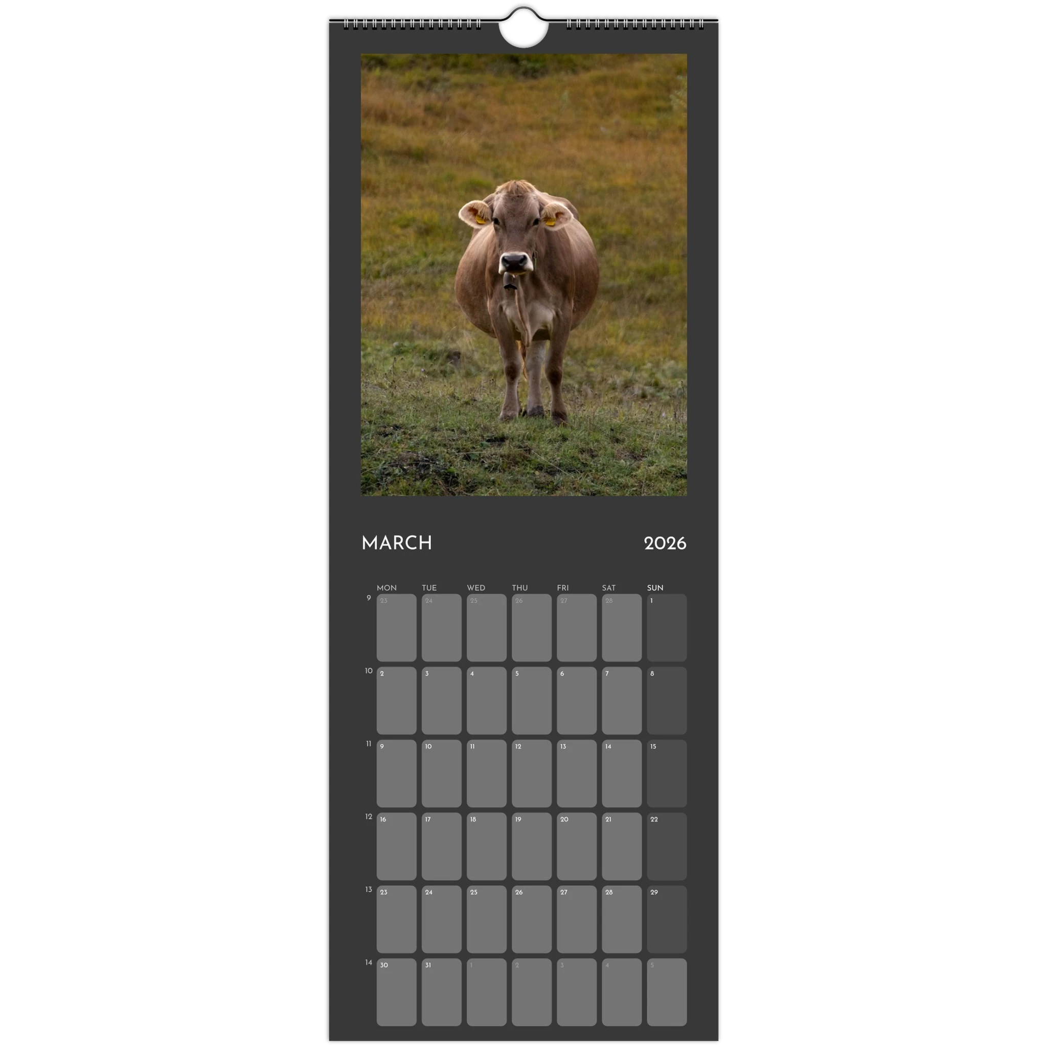 e77470ef-98a8-4a4c-b4ab-5c265169a136