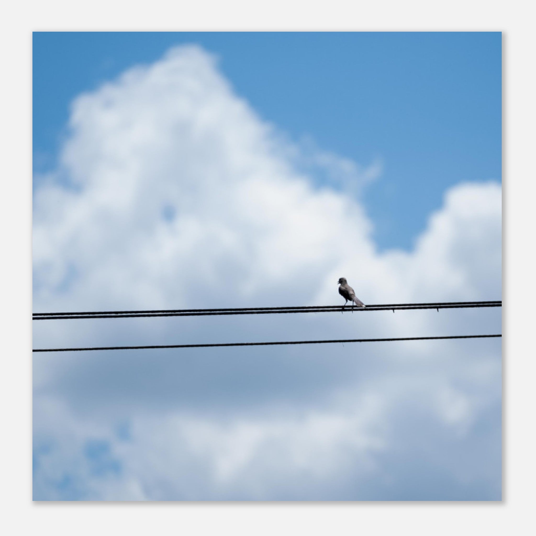 103ab0db-5084-4eaf-9557-e1a88c833fc5