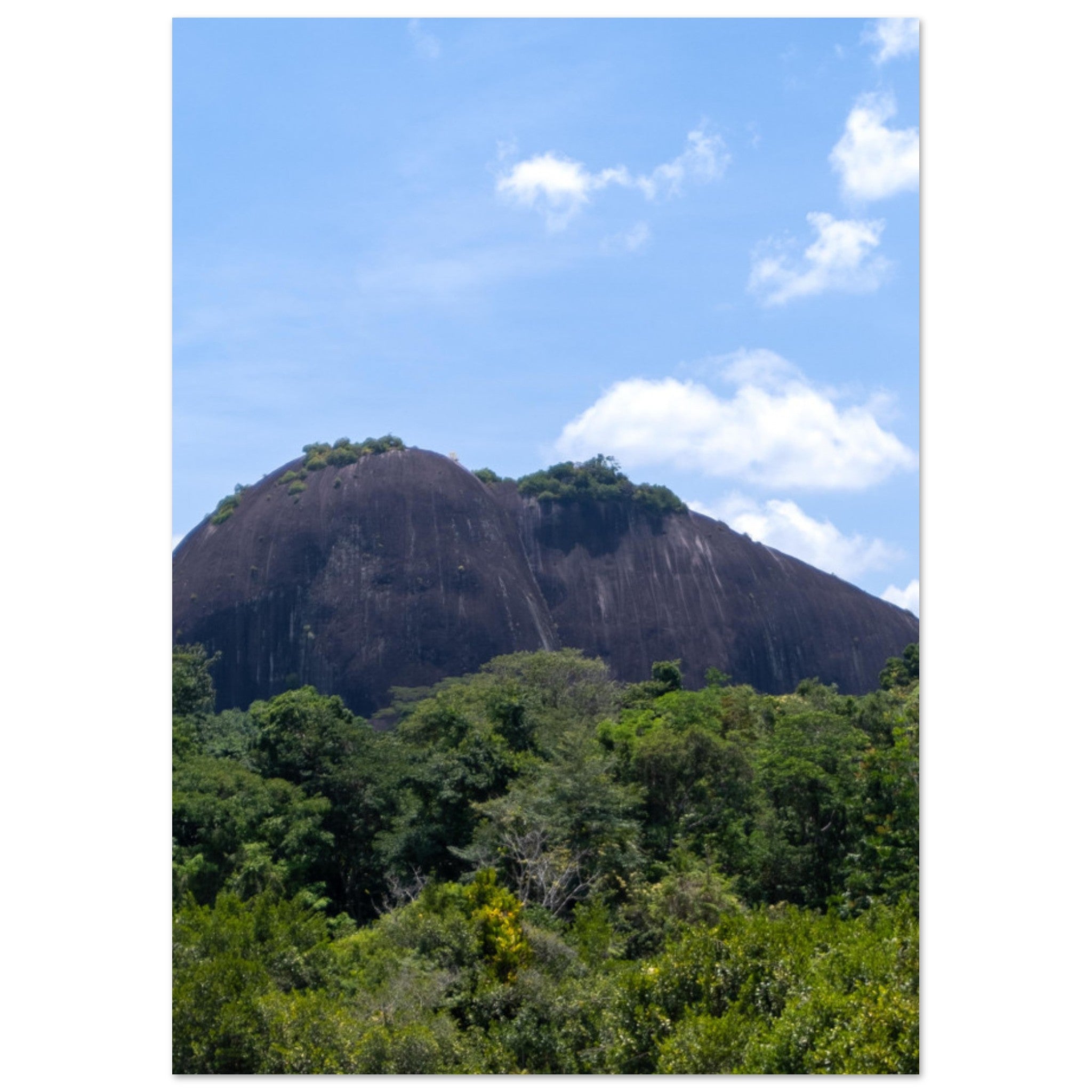 954e2a72-5259-4339-a0f2-b4c7c62a7ff9