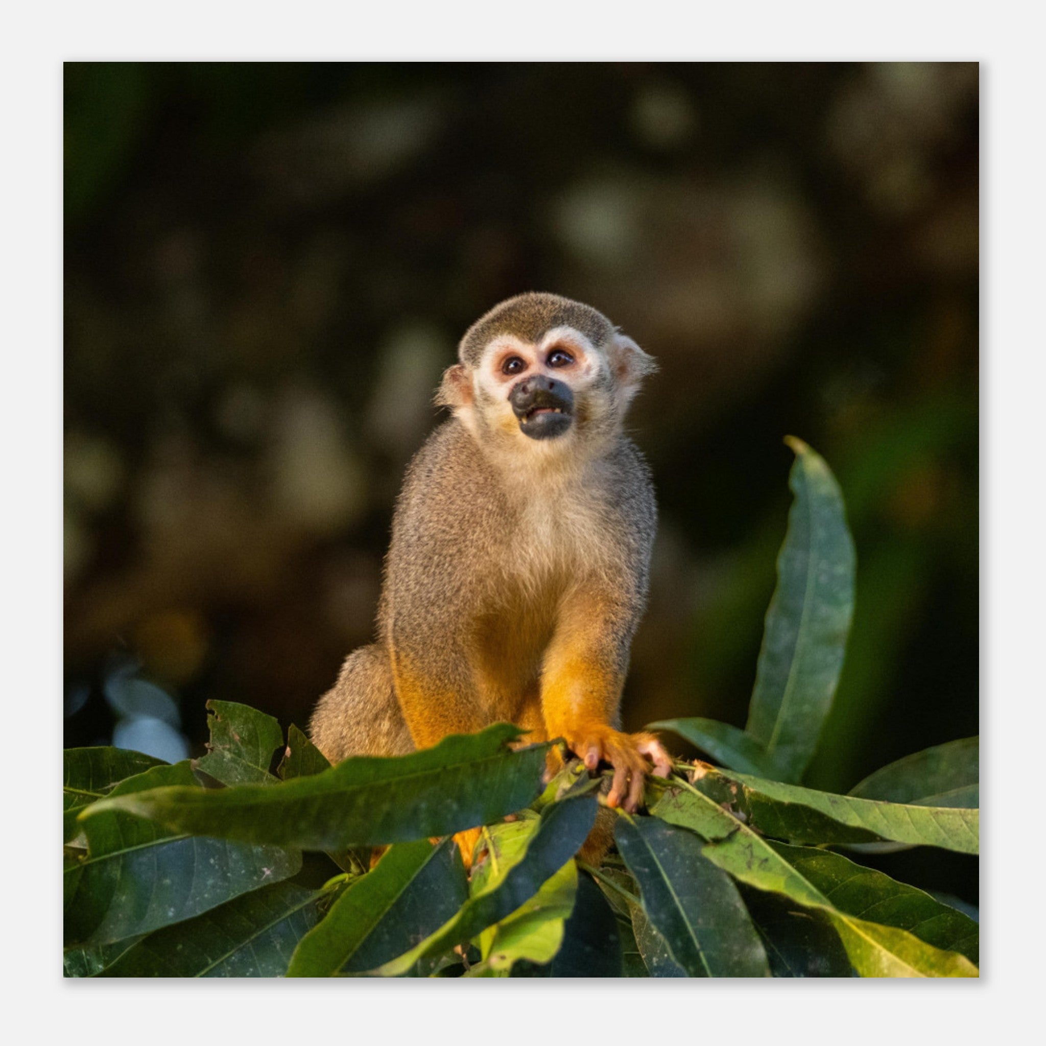 1d1f0596-baa9-47ad-aa31-e0bcb1d4c42f