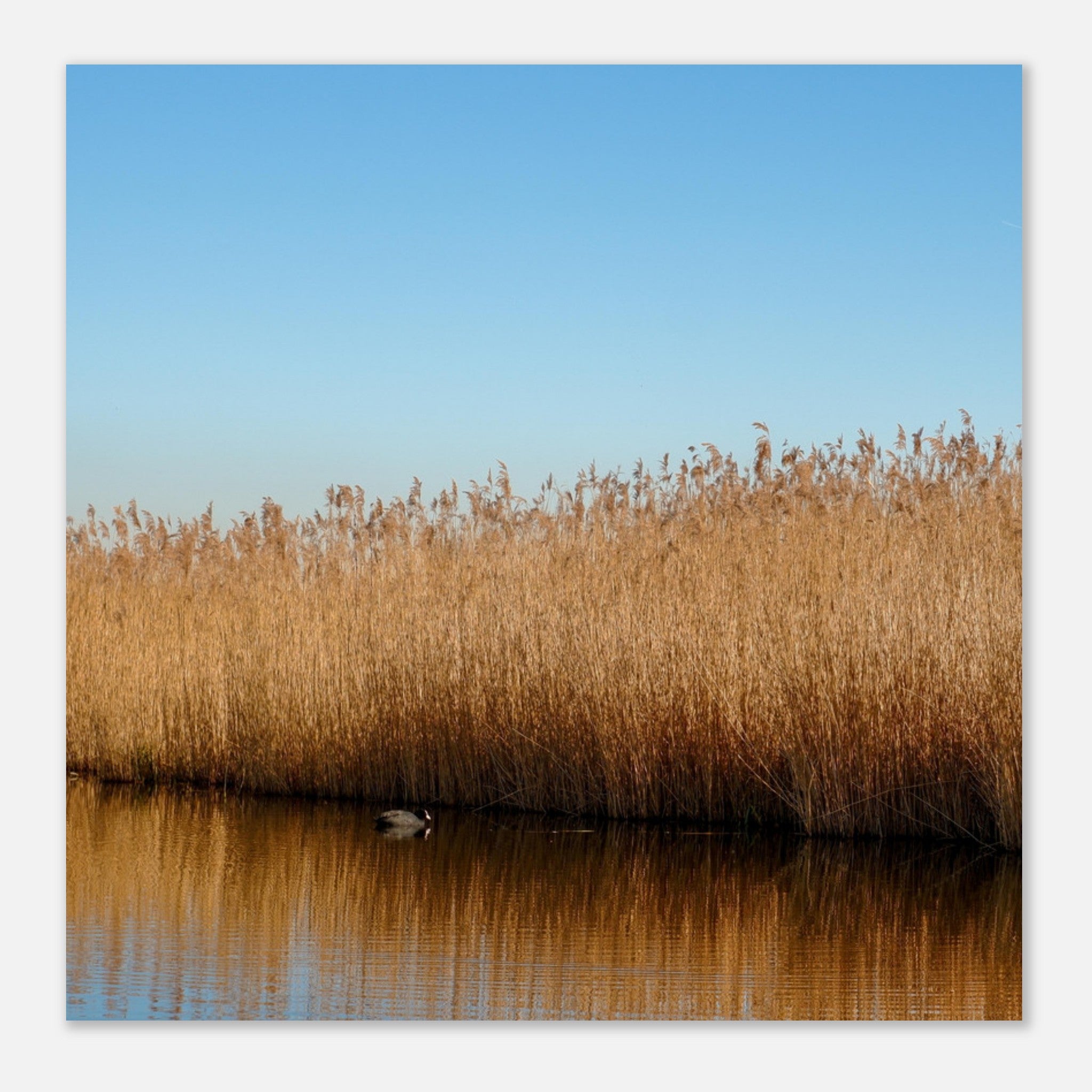 20d6e87b-b082-41e6-ab9c-8d2e4d40c808