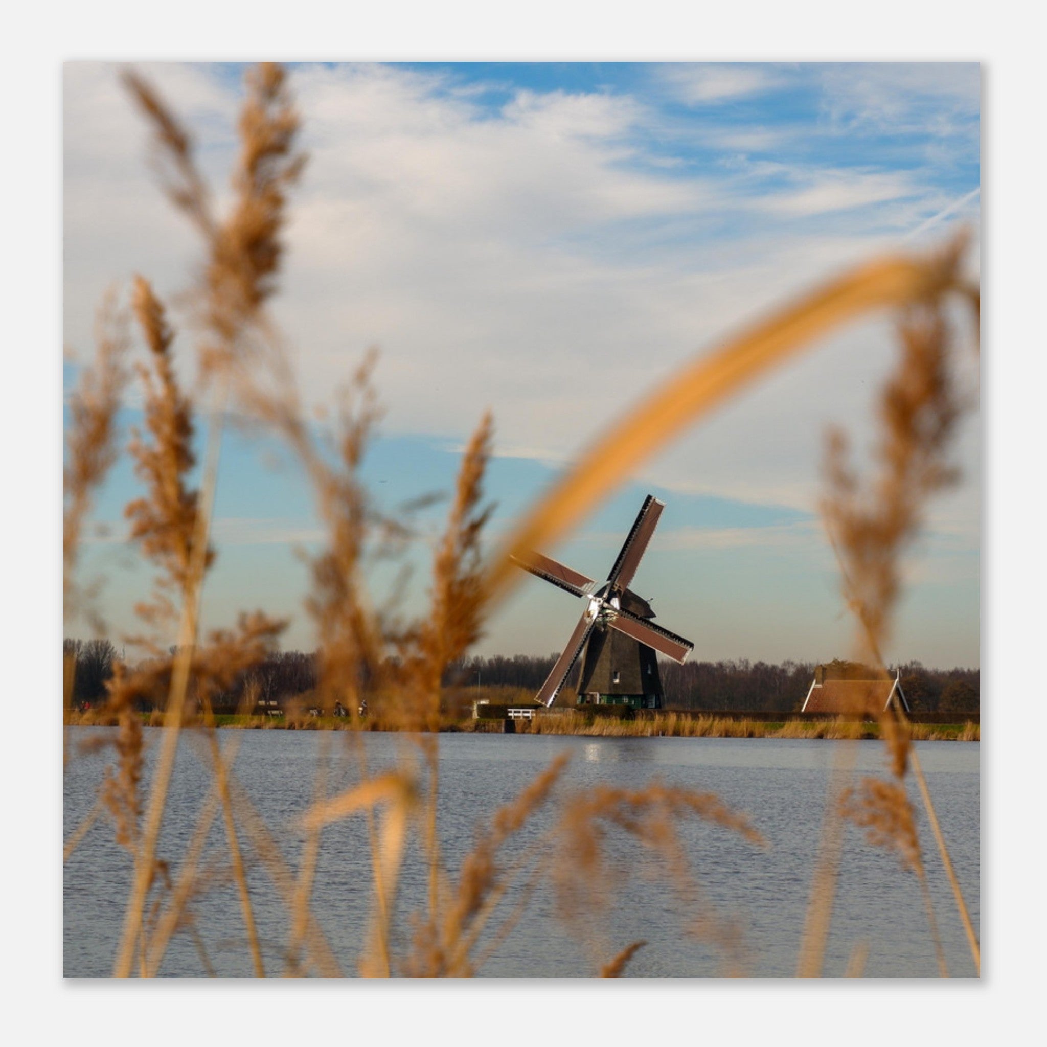 23a0a799-c6fd-4b09-81ab-f72a716b1b13