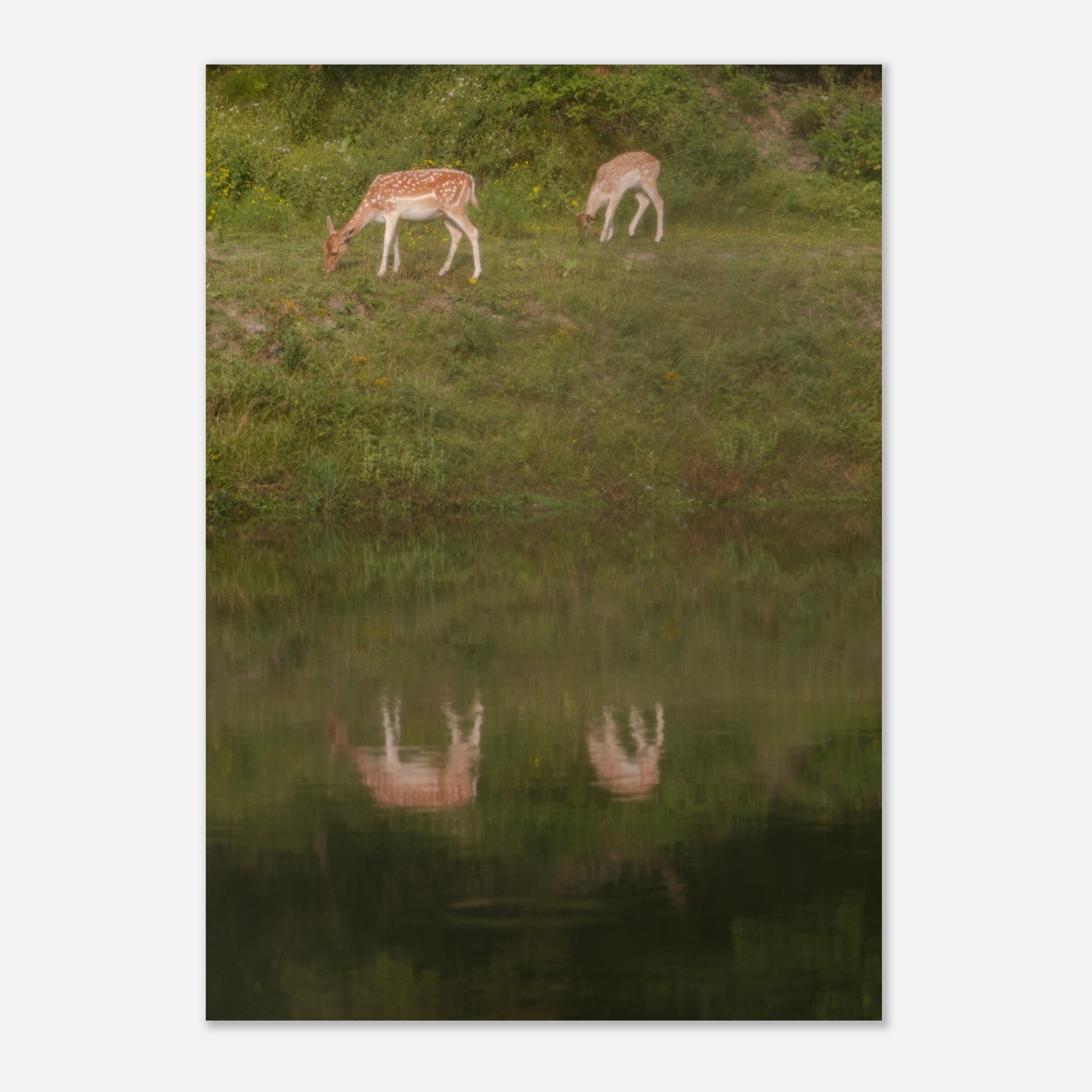 23d58dfc-0d79-4f31-968e-465013c8fa43