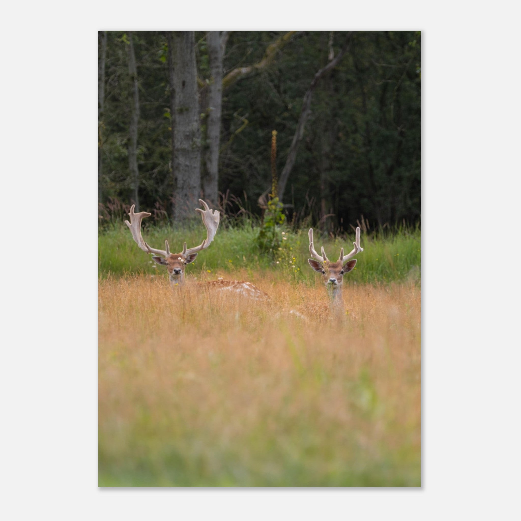 23e32811-eb24-4df9-94fd-a853c2e7e4d7