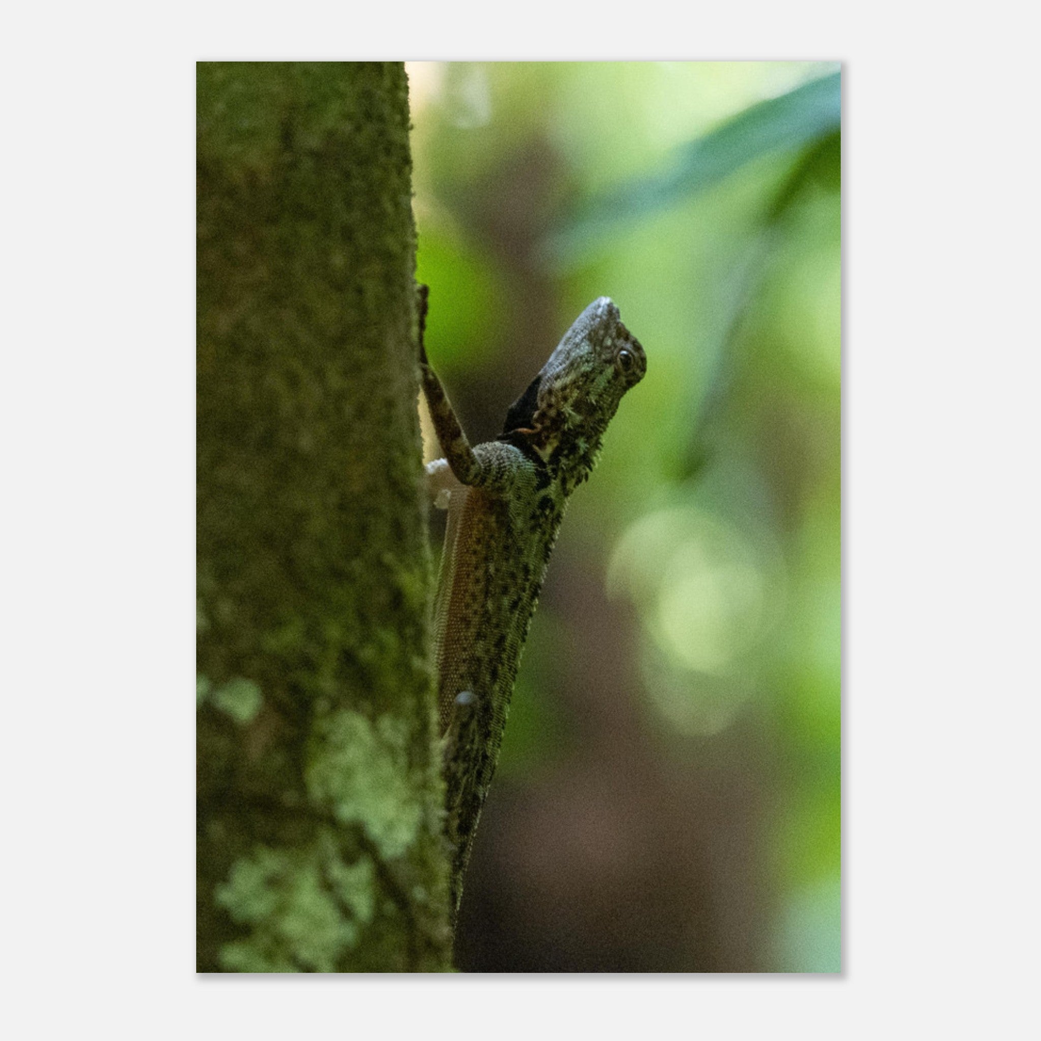 29a06921-2d7b-4d5b-89a4-6cefca04d27f