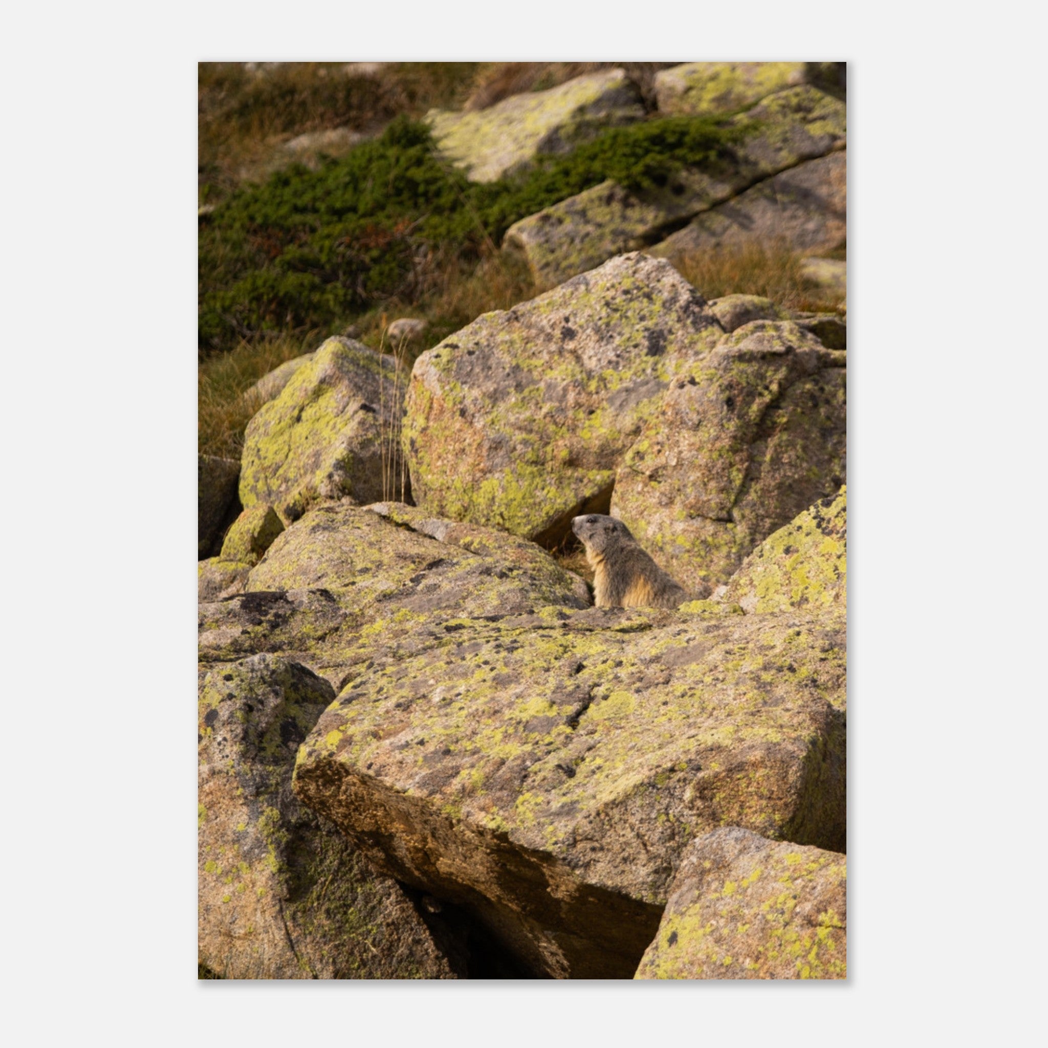 2daaec9e-f358-4cc1-b992-7c565fcb5c75