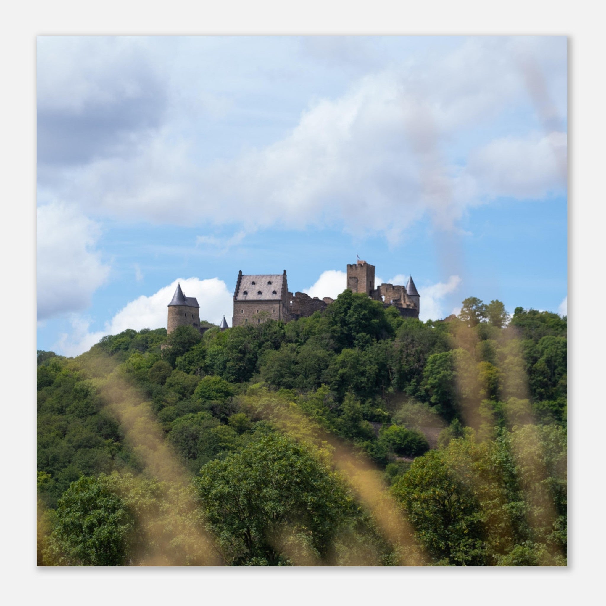 376bfc49-dd1d-47f8-bb3a-75bc3a9b162b