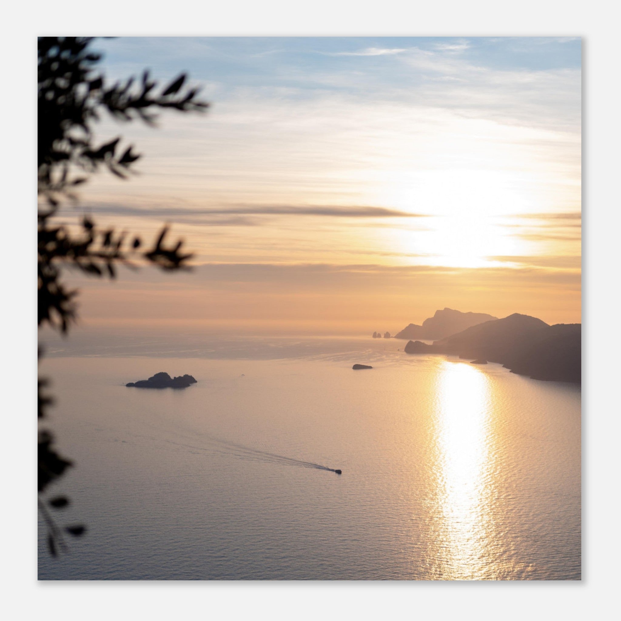 3bc598ff-4ea3-47e8-aede-bdeb9a5a43d8