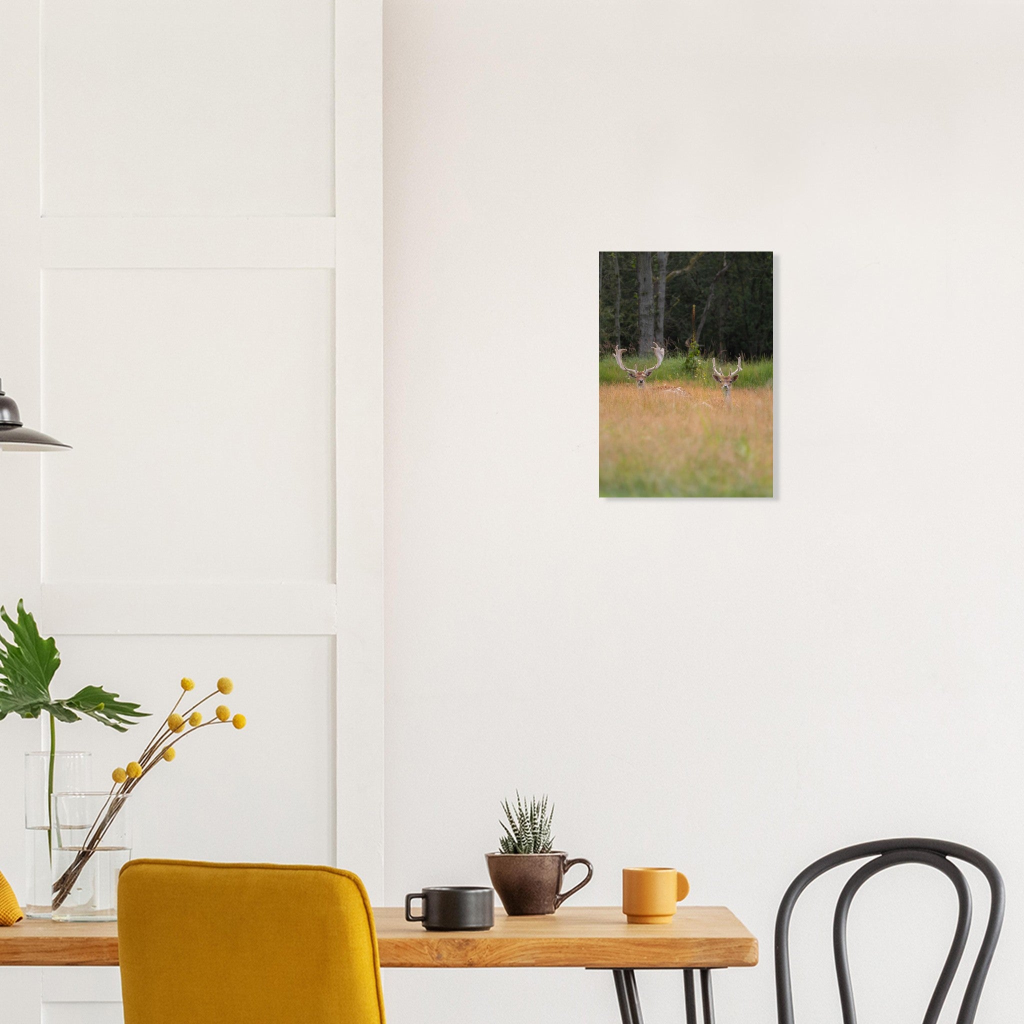 3ed4f91d-9bfd-49a7-9dcc-efdef3ee75b8