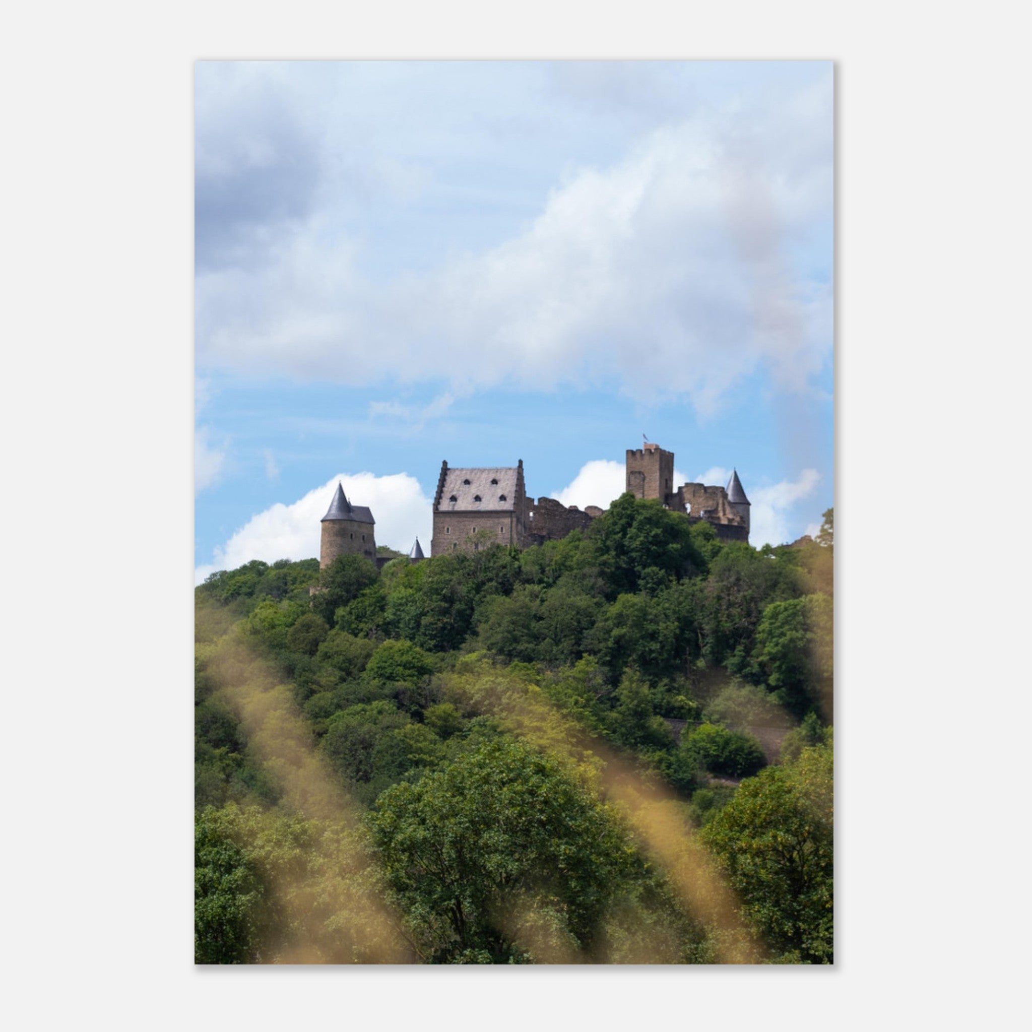 41b95ede-35df-48d8-b336-ddace32d0b1e