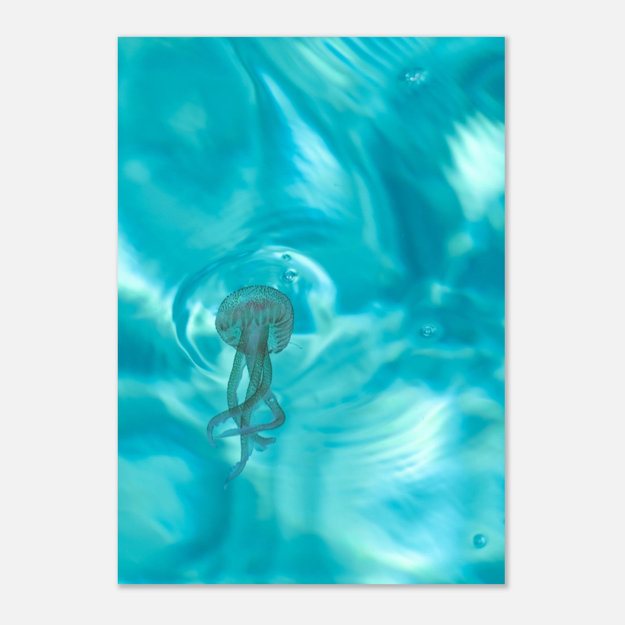 42e107ef-5653-40eb-9780-9048b8196a61