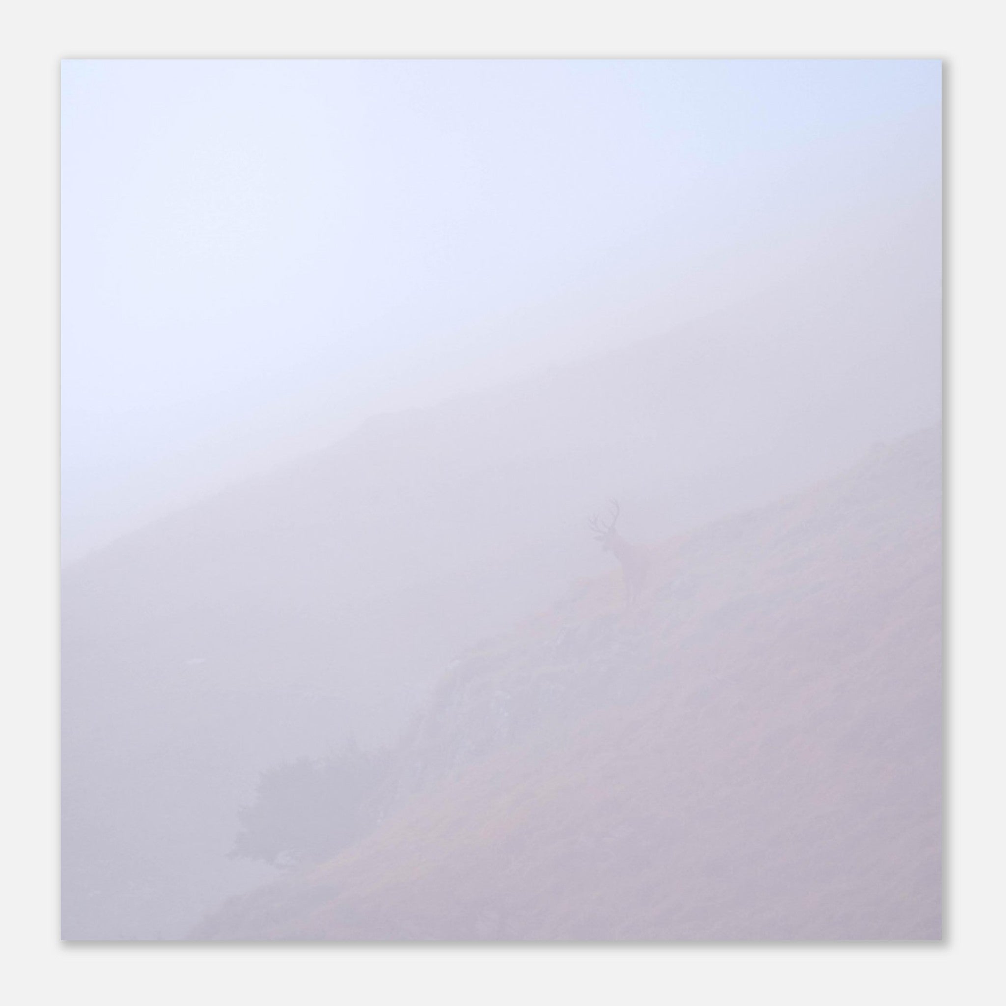 46232838-26ca-49ef-89e2-042199211234