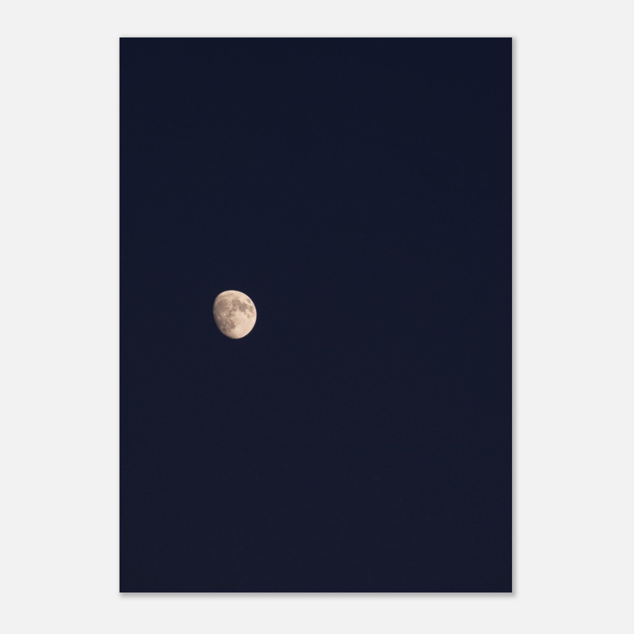 4c89519f-d66d-476c-97b1-b3b7f817f574