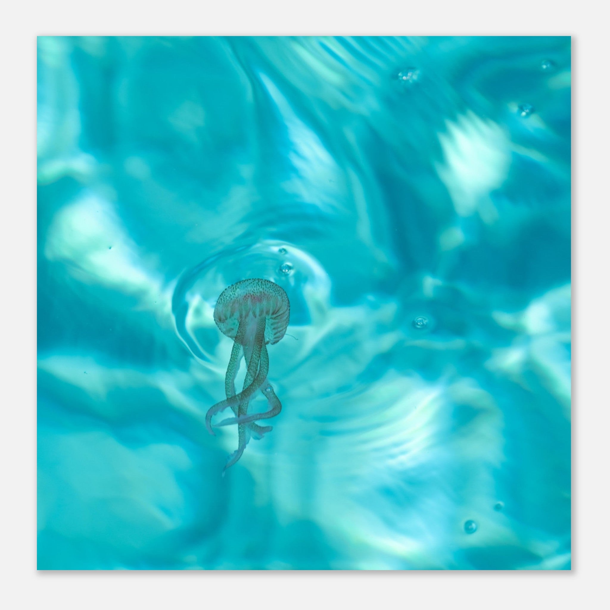 4d4127aa-2ee8-42cd-a62a-822b31bd0657