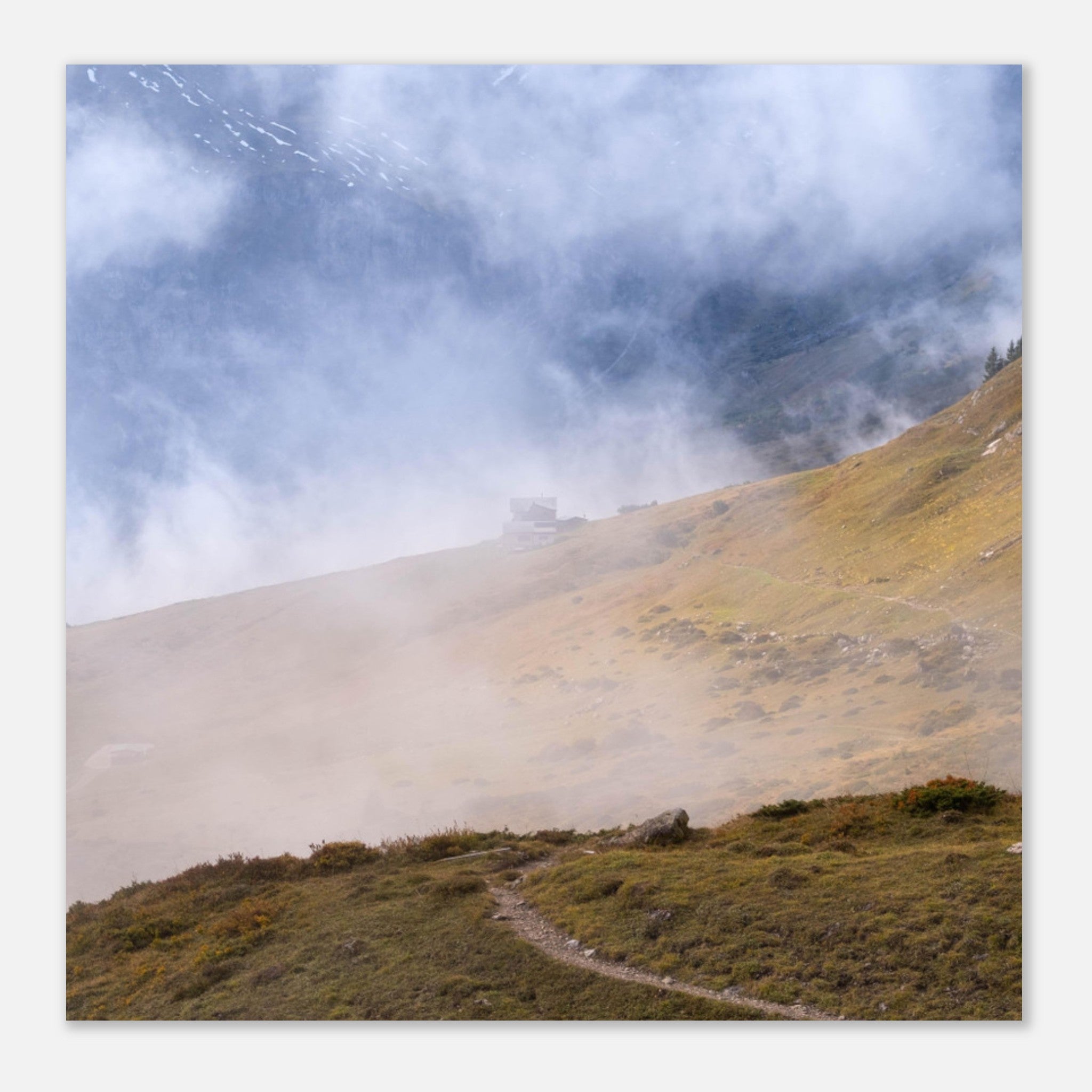 51601041-3fd1-40bf-9bd8-b6a25be05e68