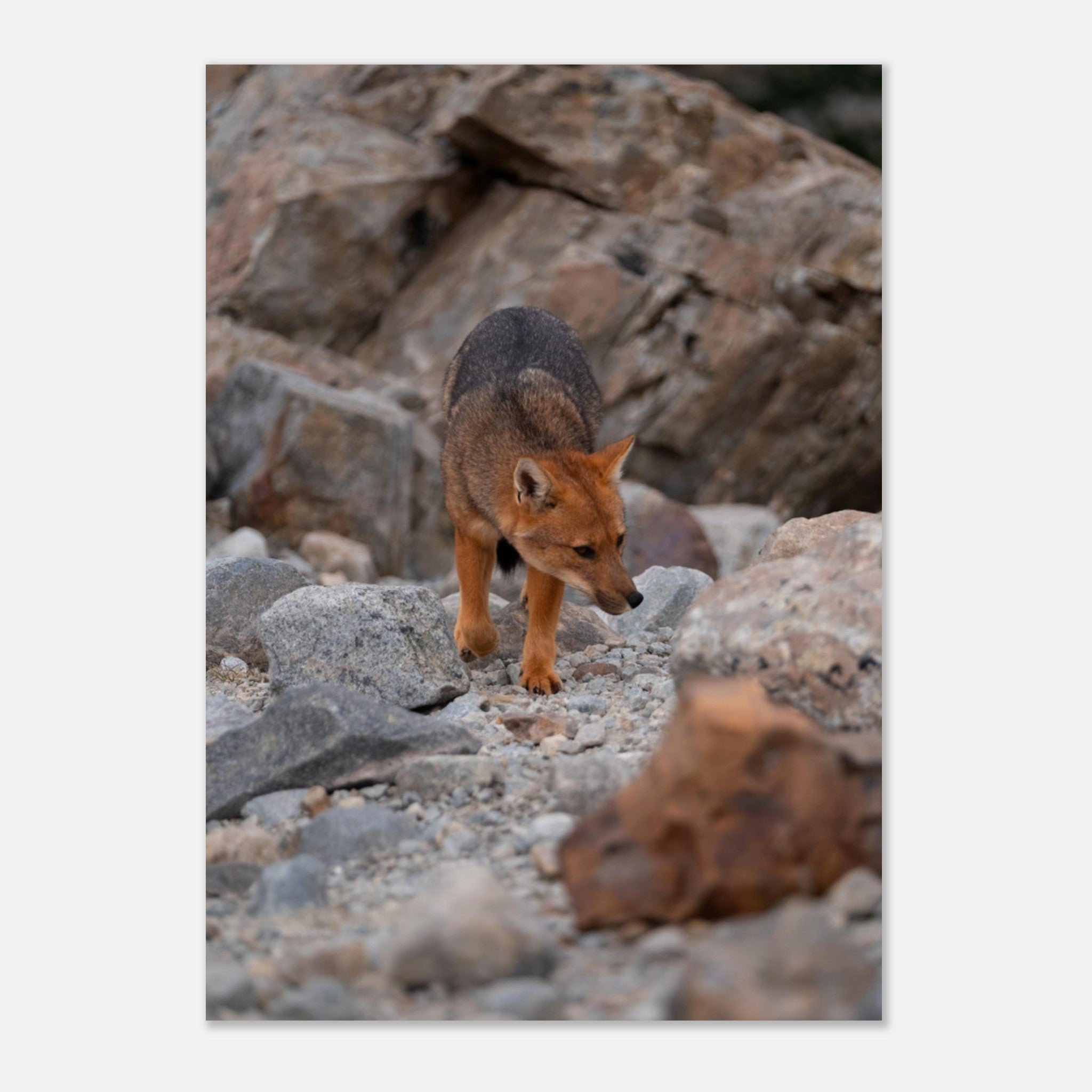 51ac90e2-1d07-477c-8844-13ada627499d