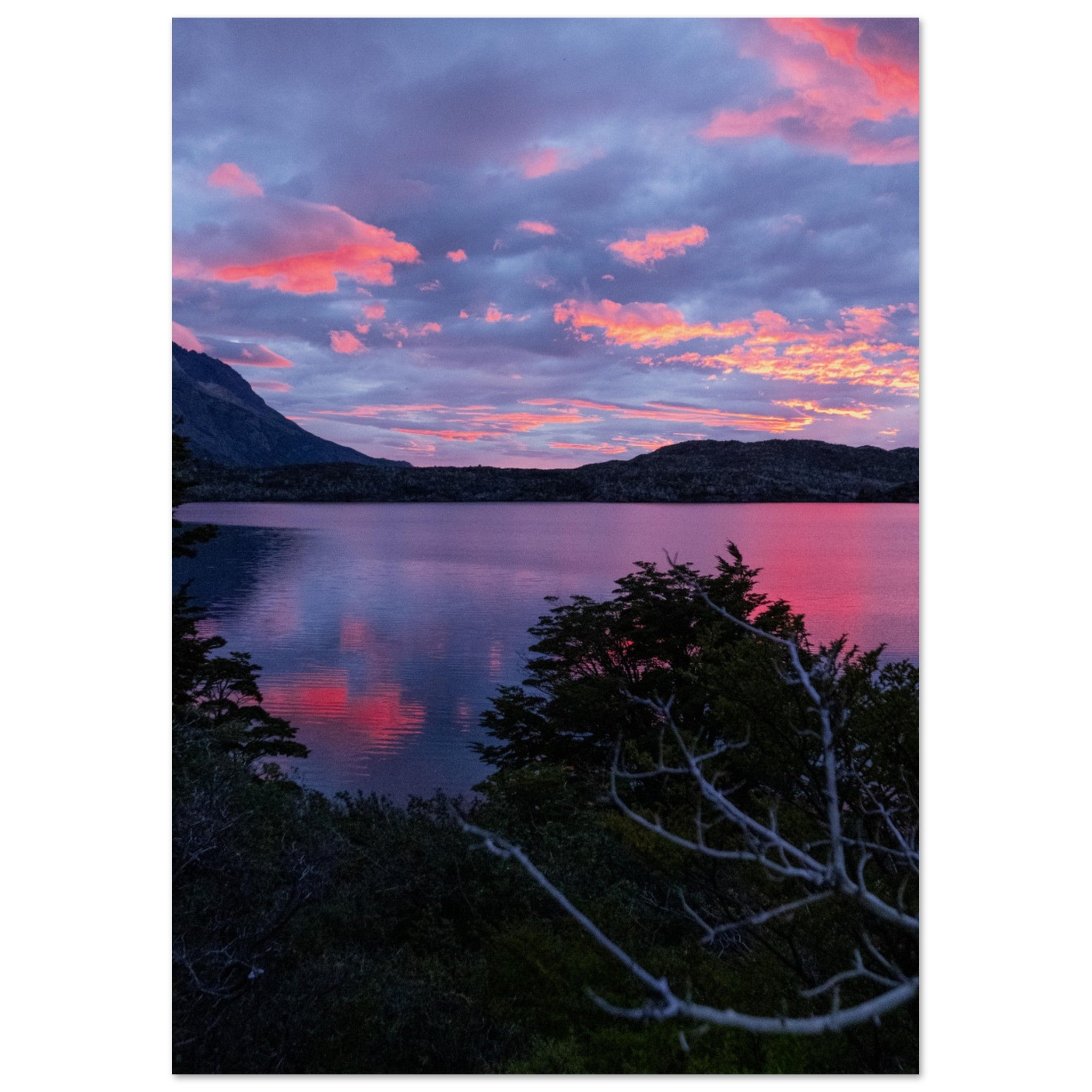 b2302691-b049-46b5-82db-df769210100d