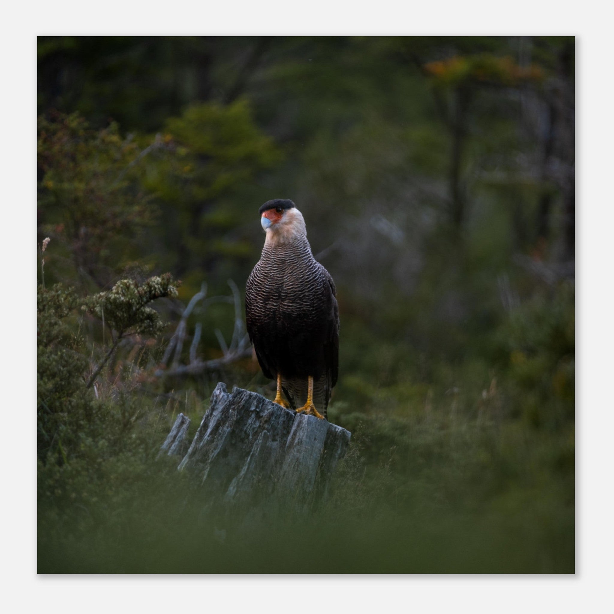 55c61e9f-032f-4078-a2ef-e26808a878d5