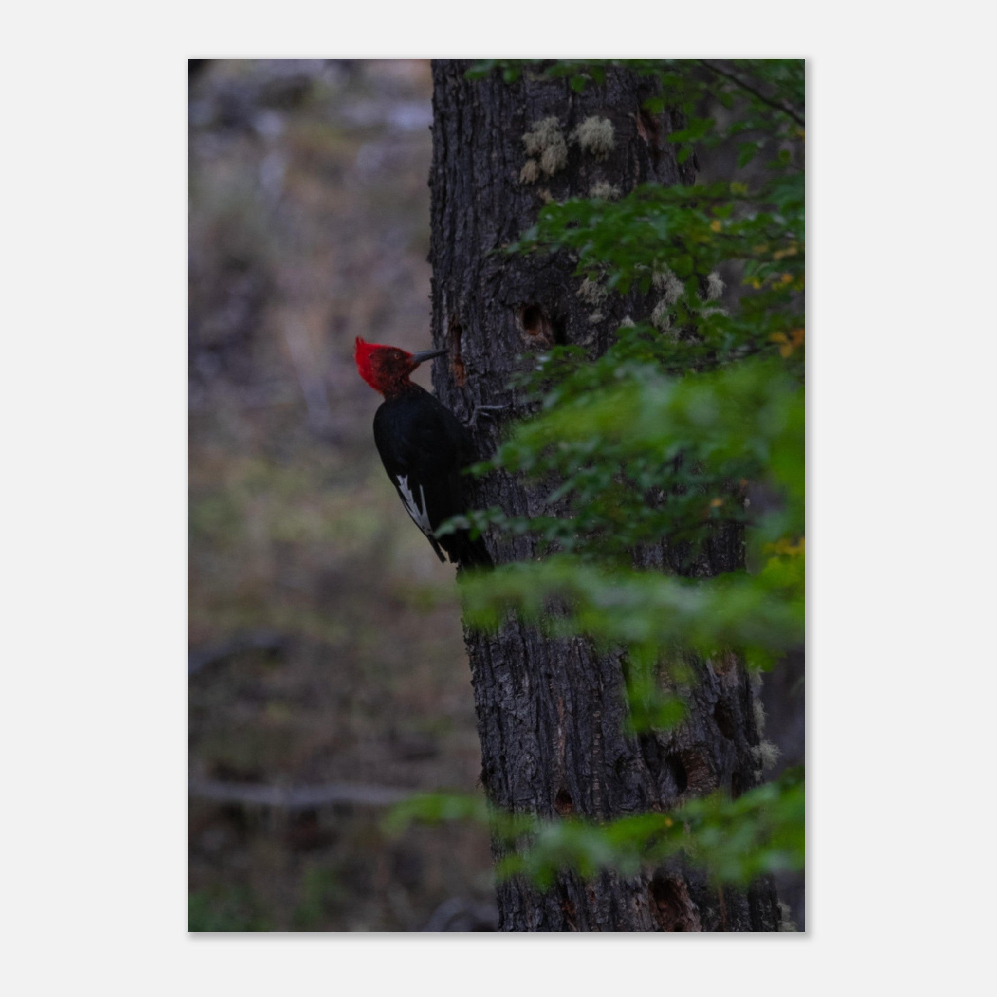 5b866a11-2cb5-4605-81bd-b08895d1a7a7