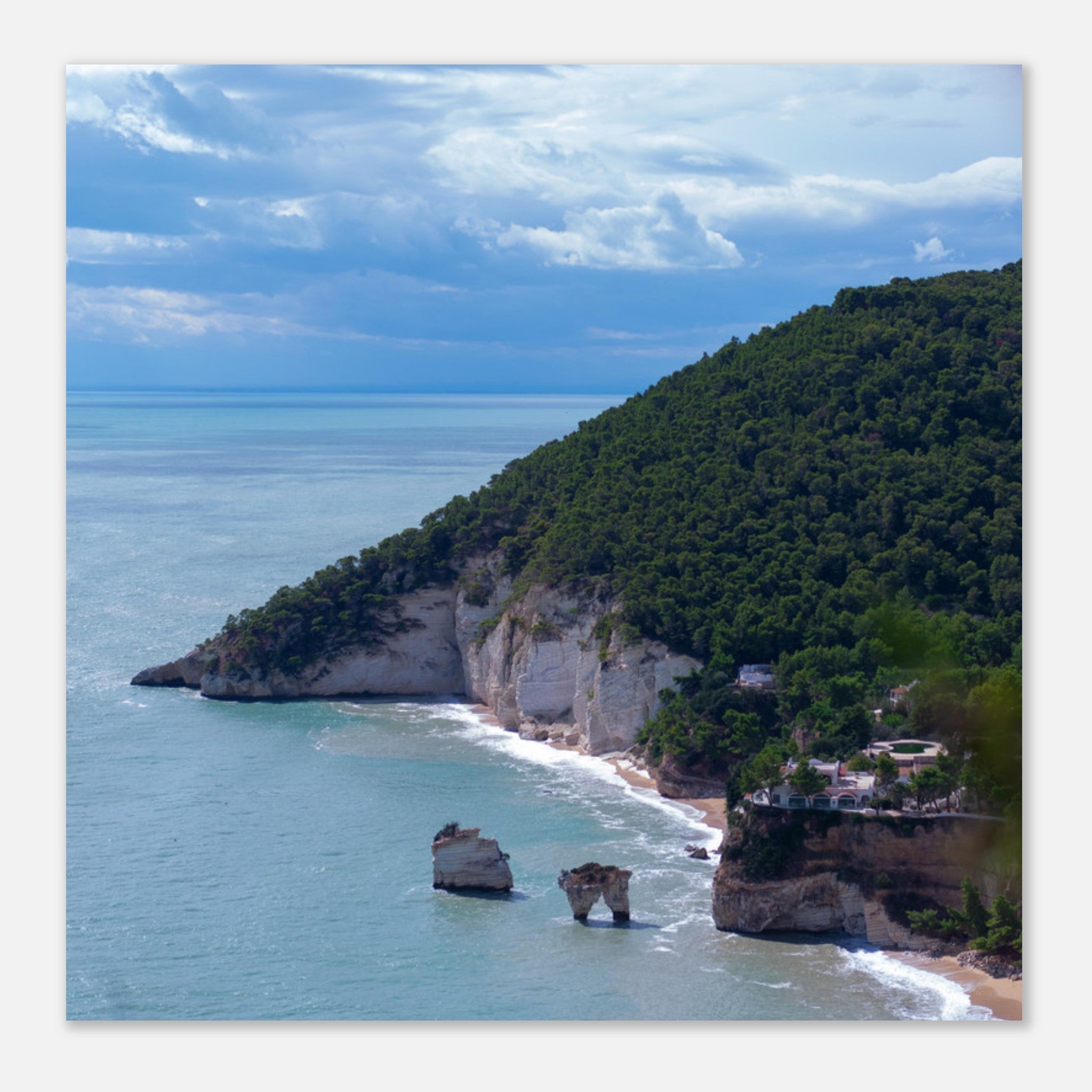 5c1d8bac-70b2-4e61-982a-bb644fac17d5