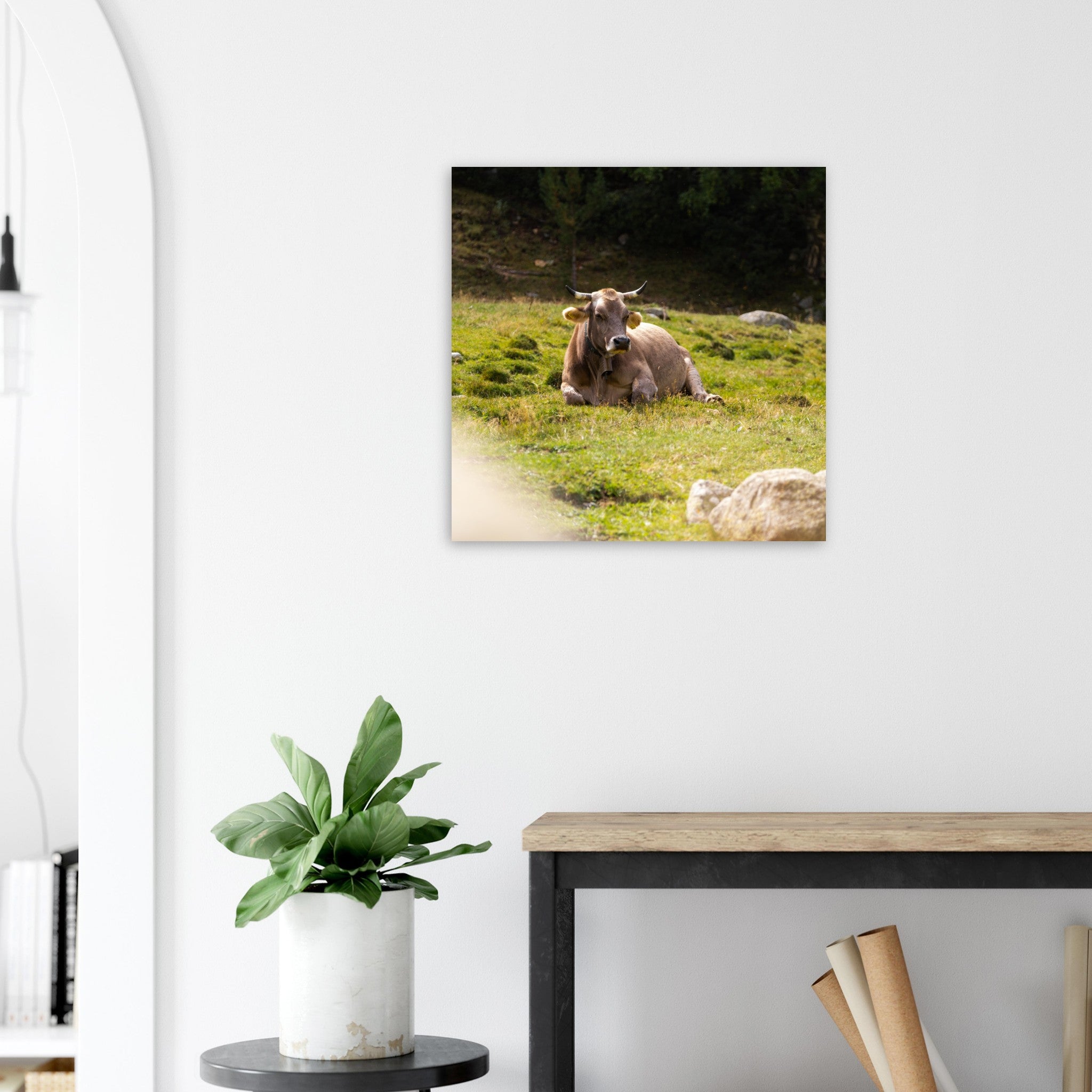 ff314c6e-5cc6-409f-a246-946ba1593c73