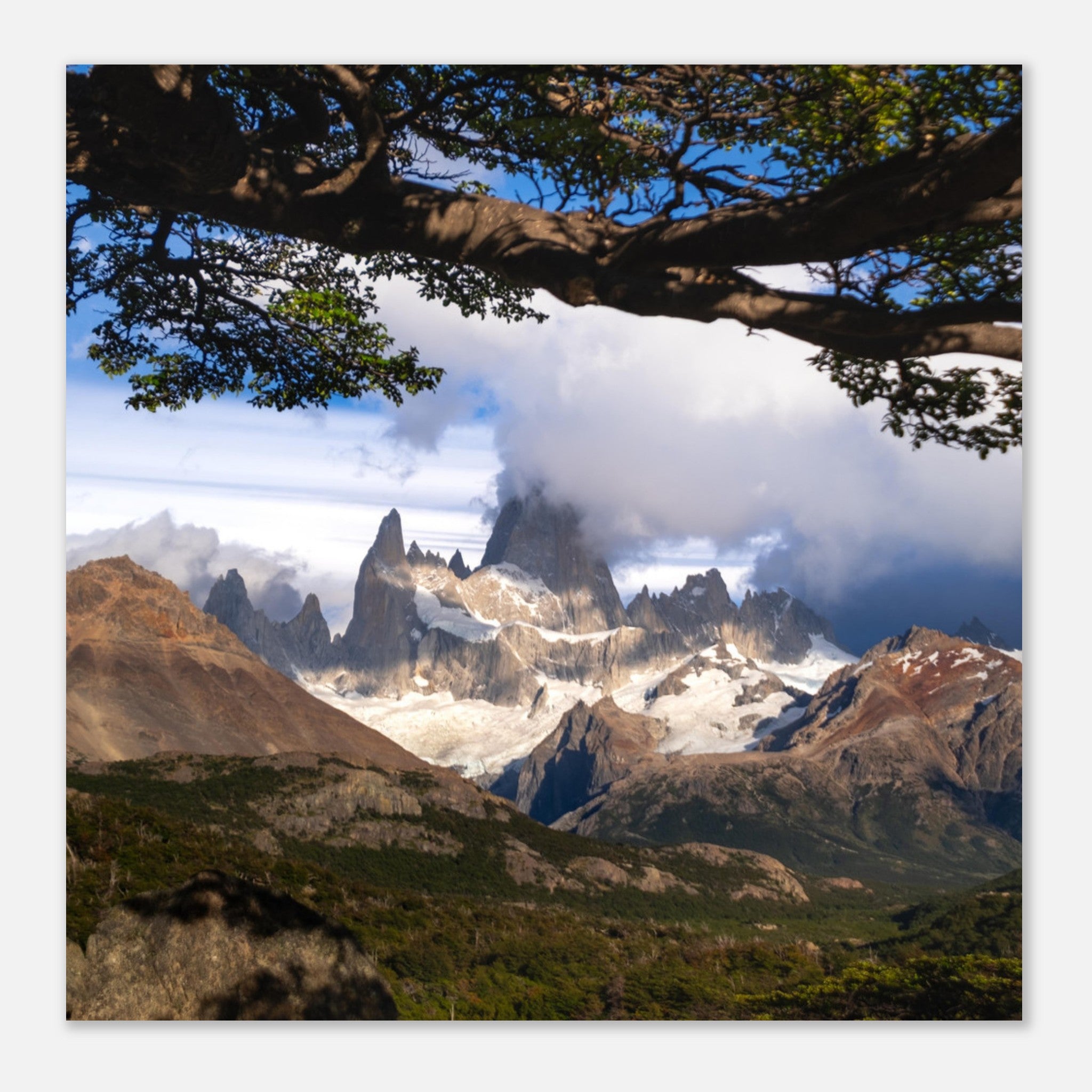 5fb6d90a-d4f8-46c5-8787-87ae2b68f204