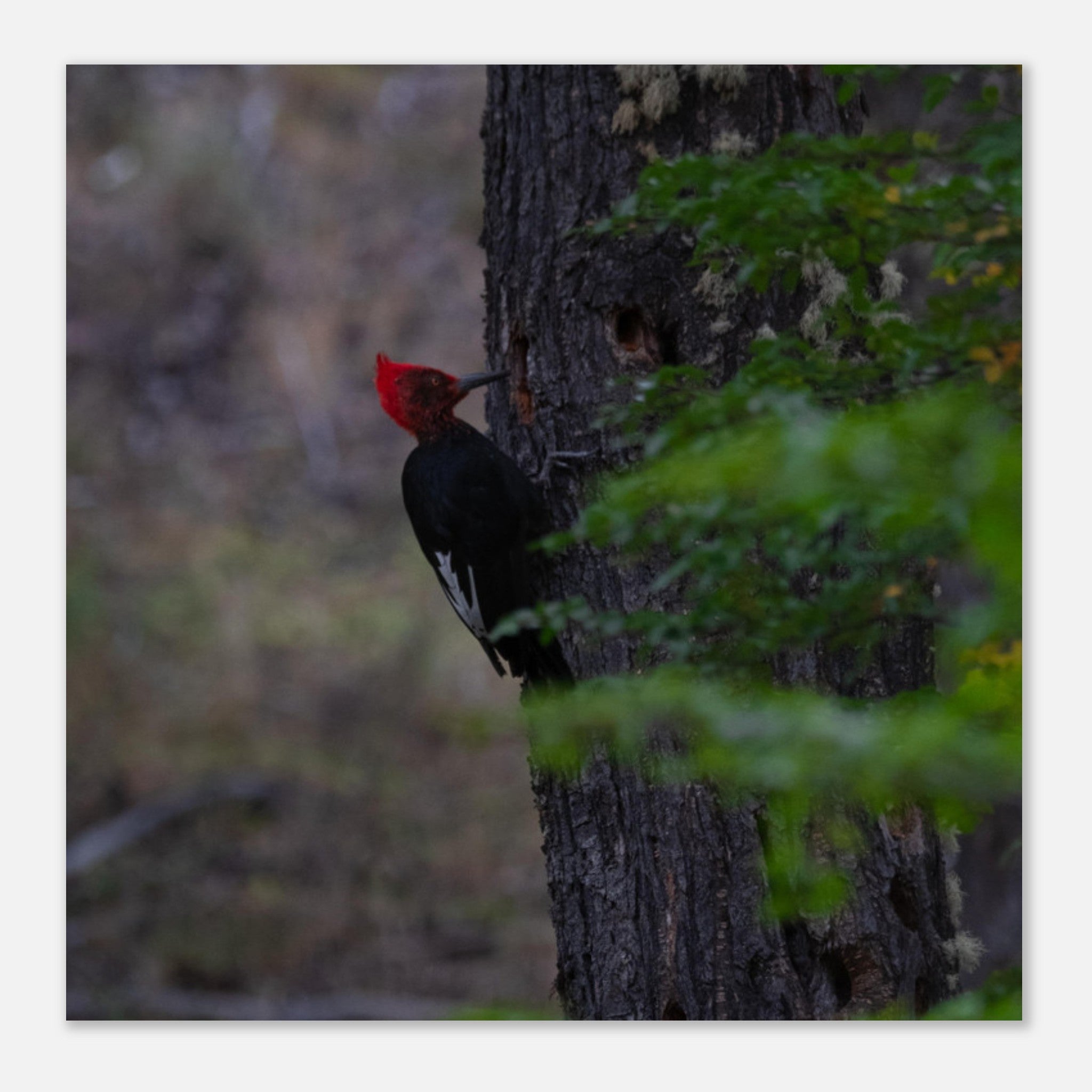 64b8edce-74ce-4444-8c02-828aac377368