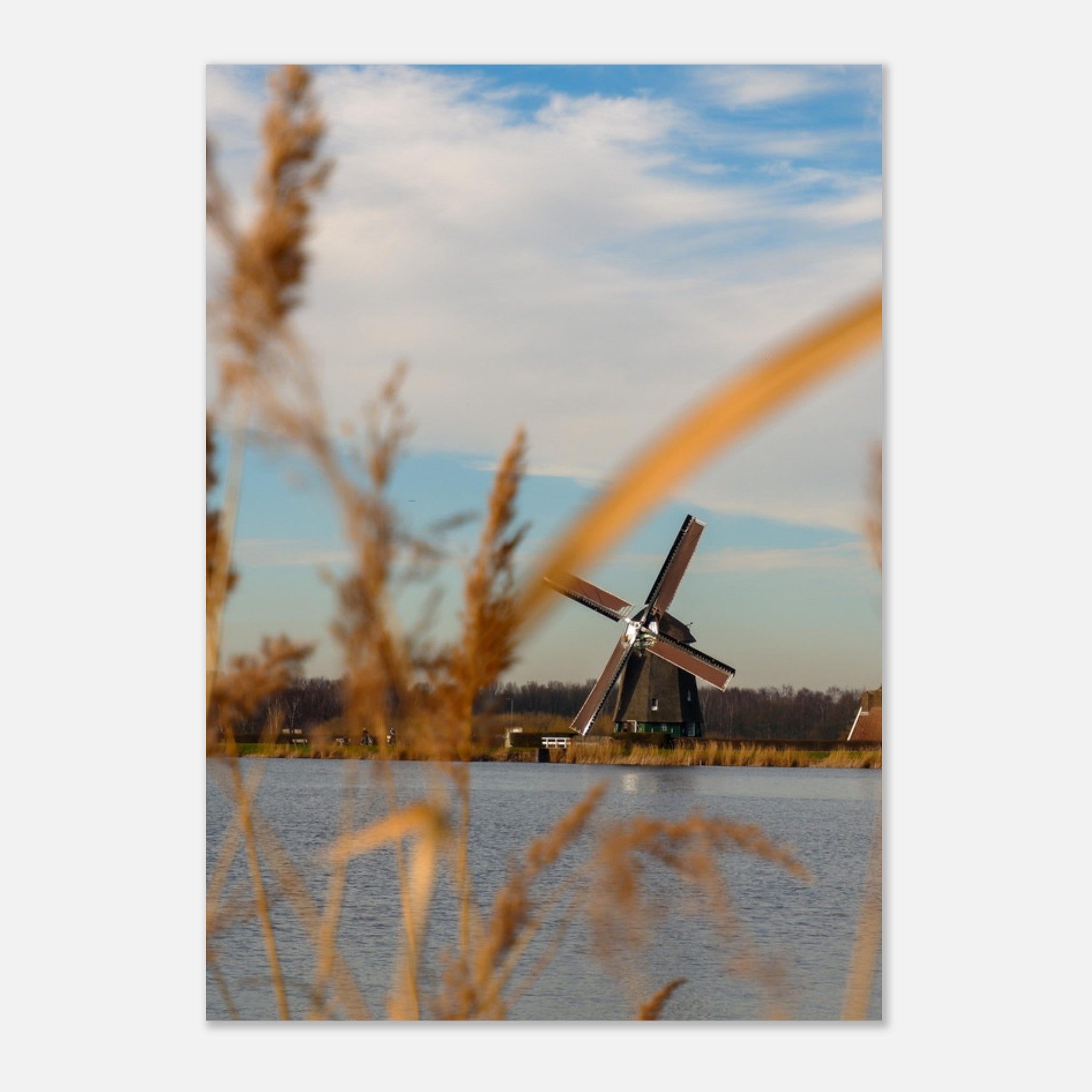 68950e9f-2c80-42e8-9a1b-5dd6f5954aea