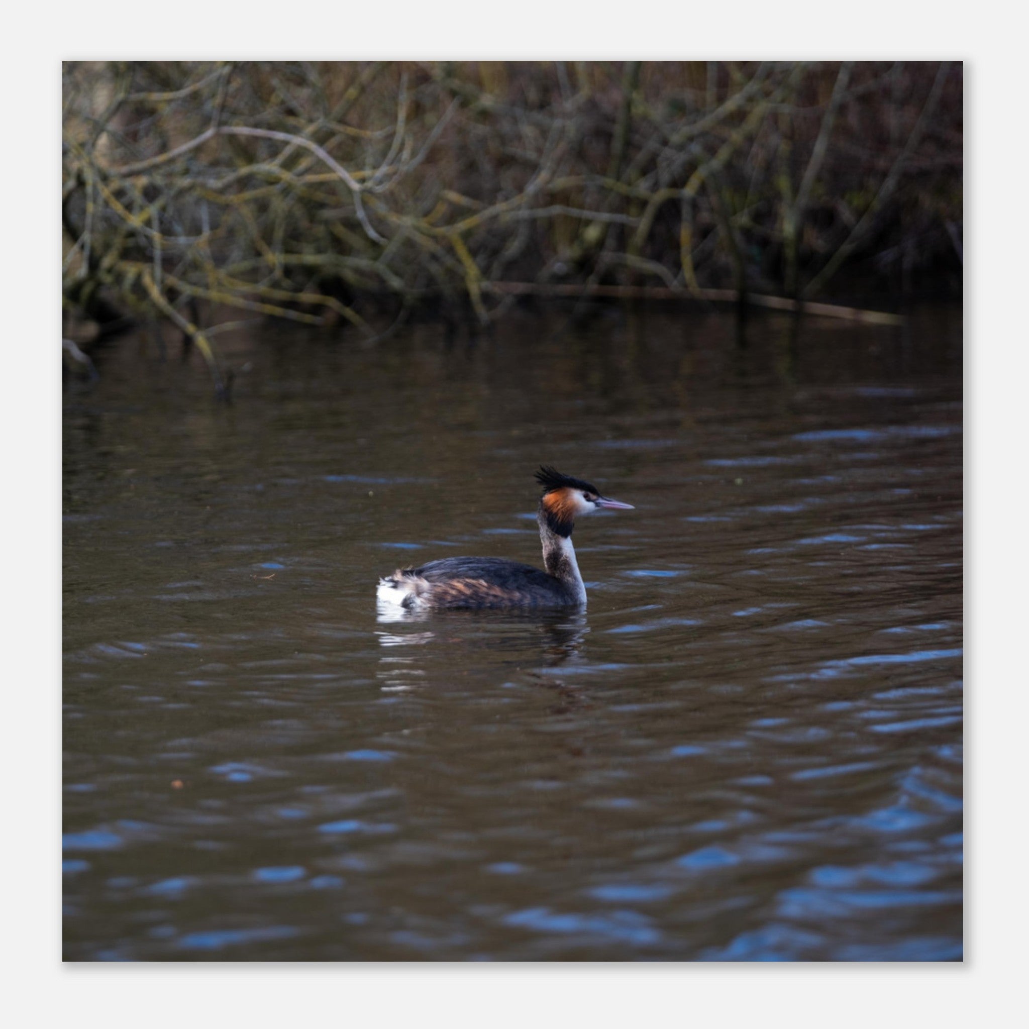 723391cd-66f2-4013-93db-346497f334f6