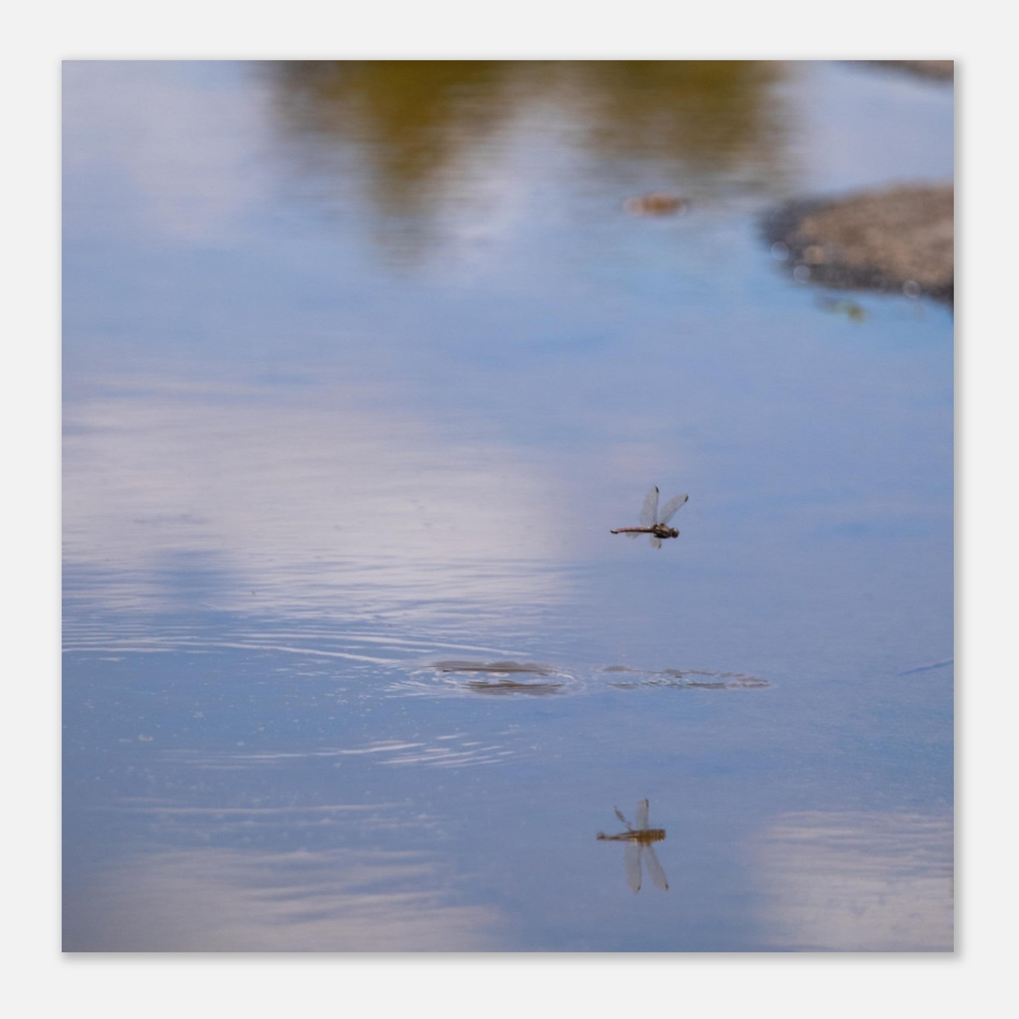 747b0b22-2ee9-4dcd-be1e-b4250e537188