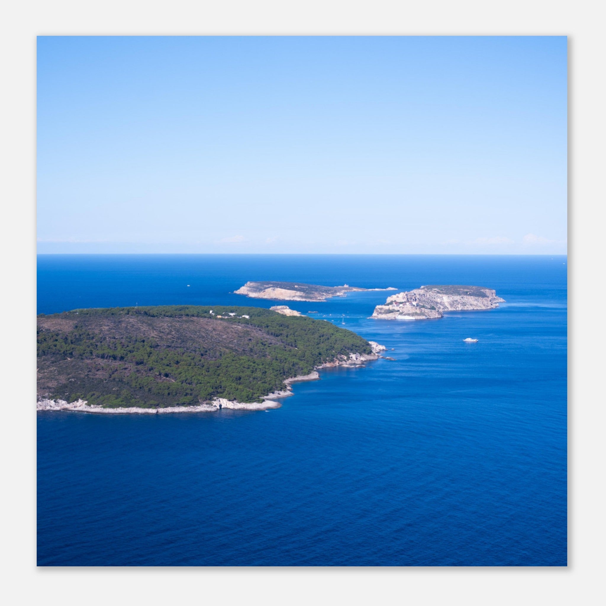 75f53314-213c-4733-b4b5-53d103a6c4fd