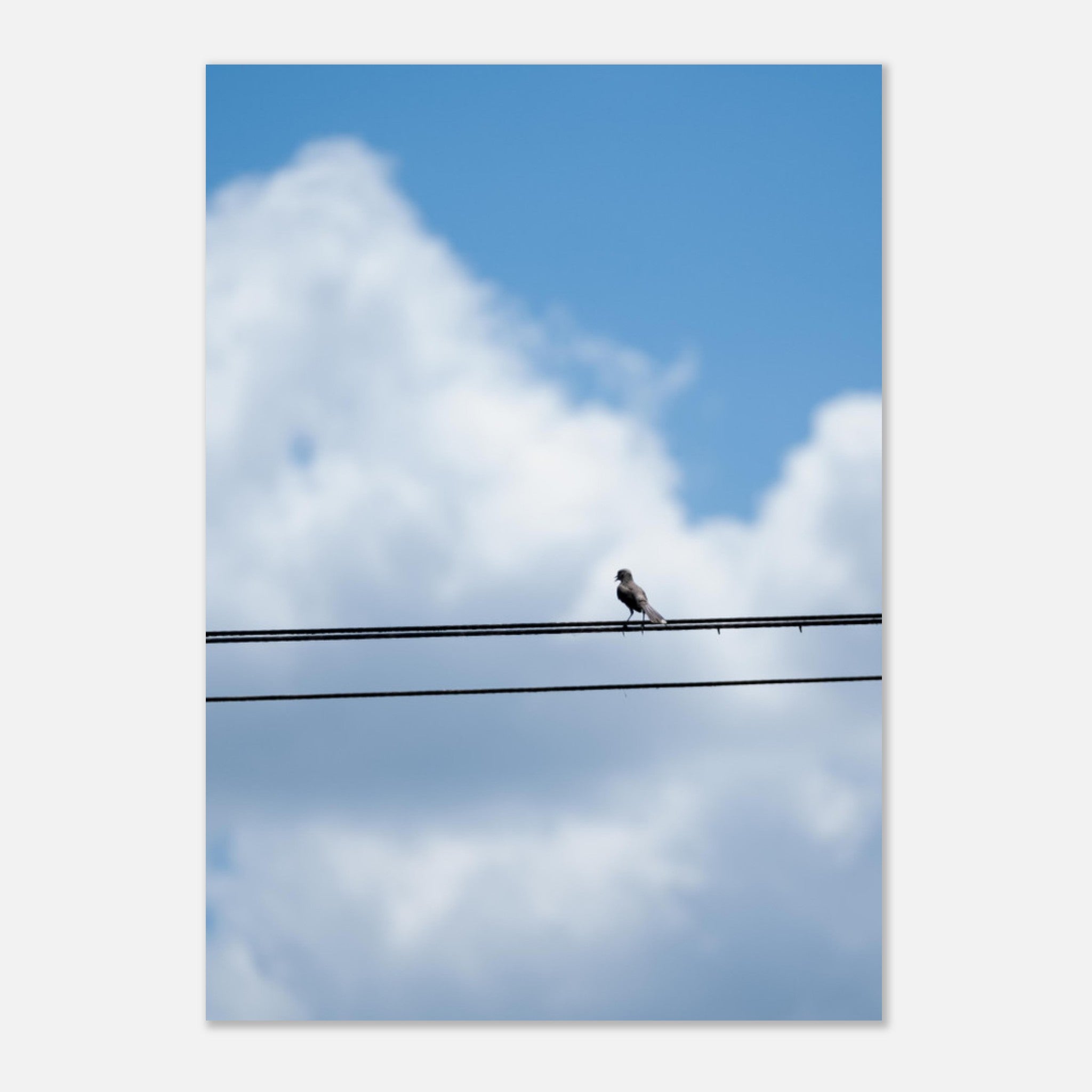 767fd433-ce4f-4f29-bd6d-1d37213e575f