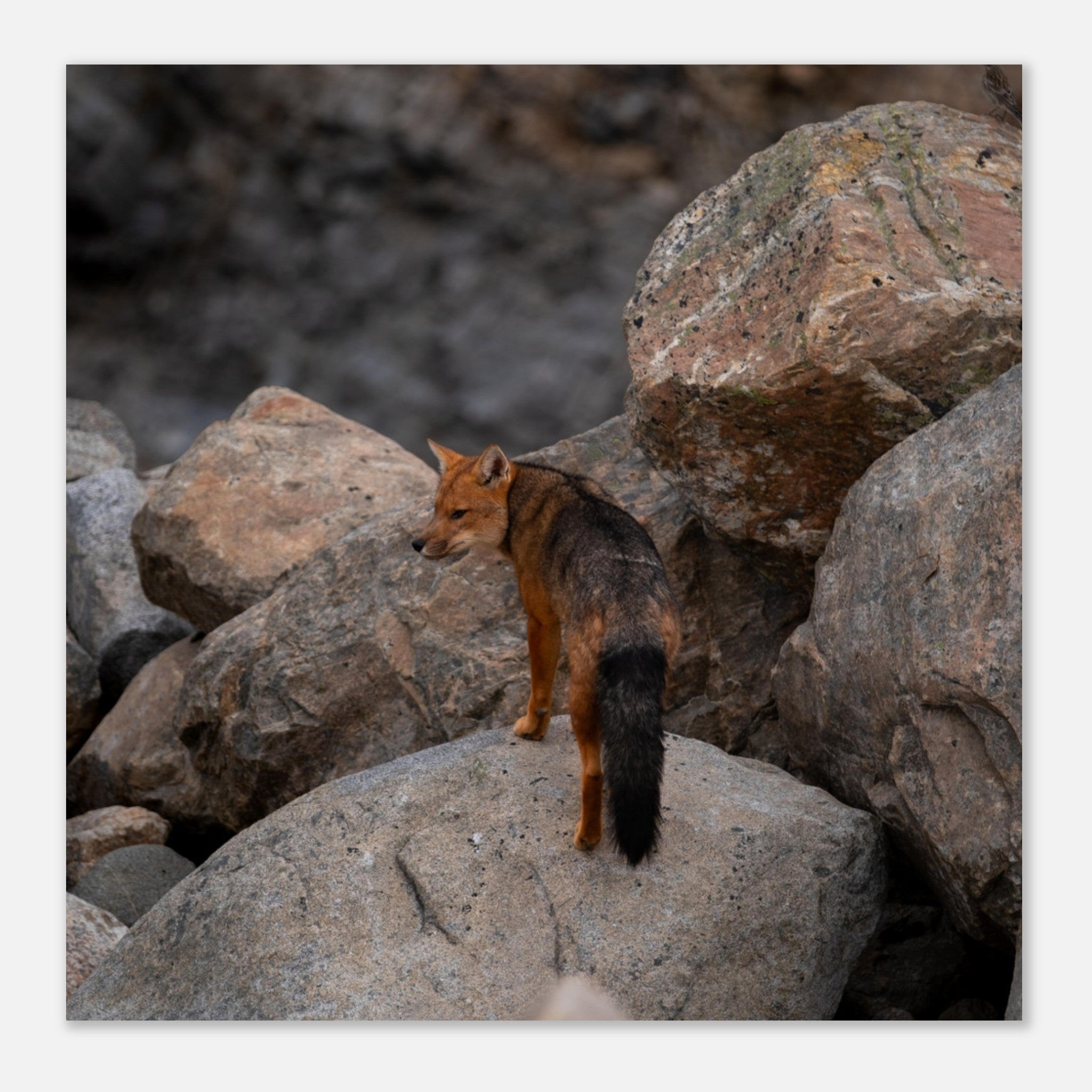 779fbf26-0fd3-4469-90a6-cbdb5e07c3dc