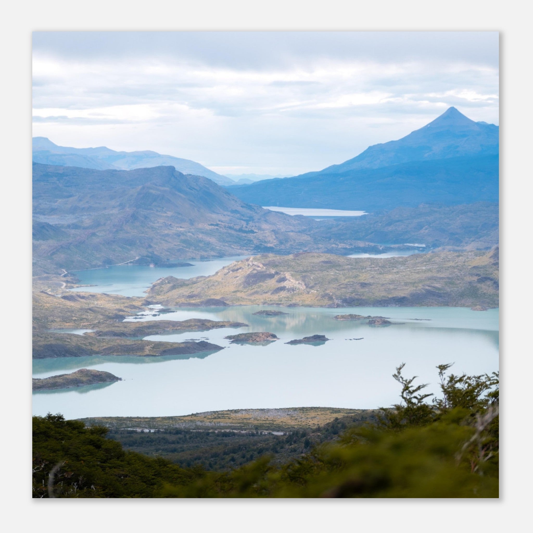 7800740d-84c5-43d8-a6d8-43a2f0da9309