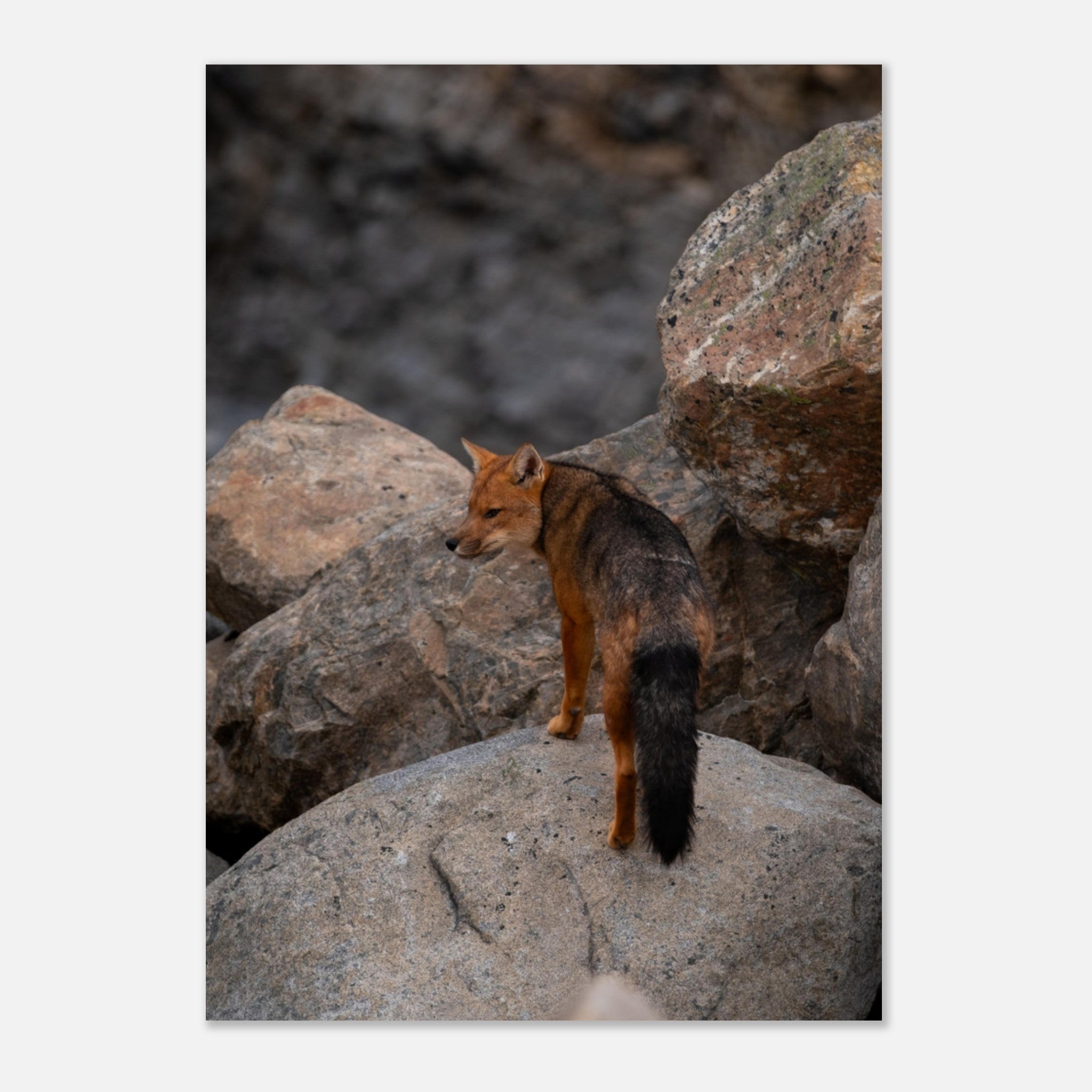 7aafe429-d392-4696-893e-99a167125bd8