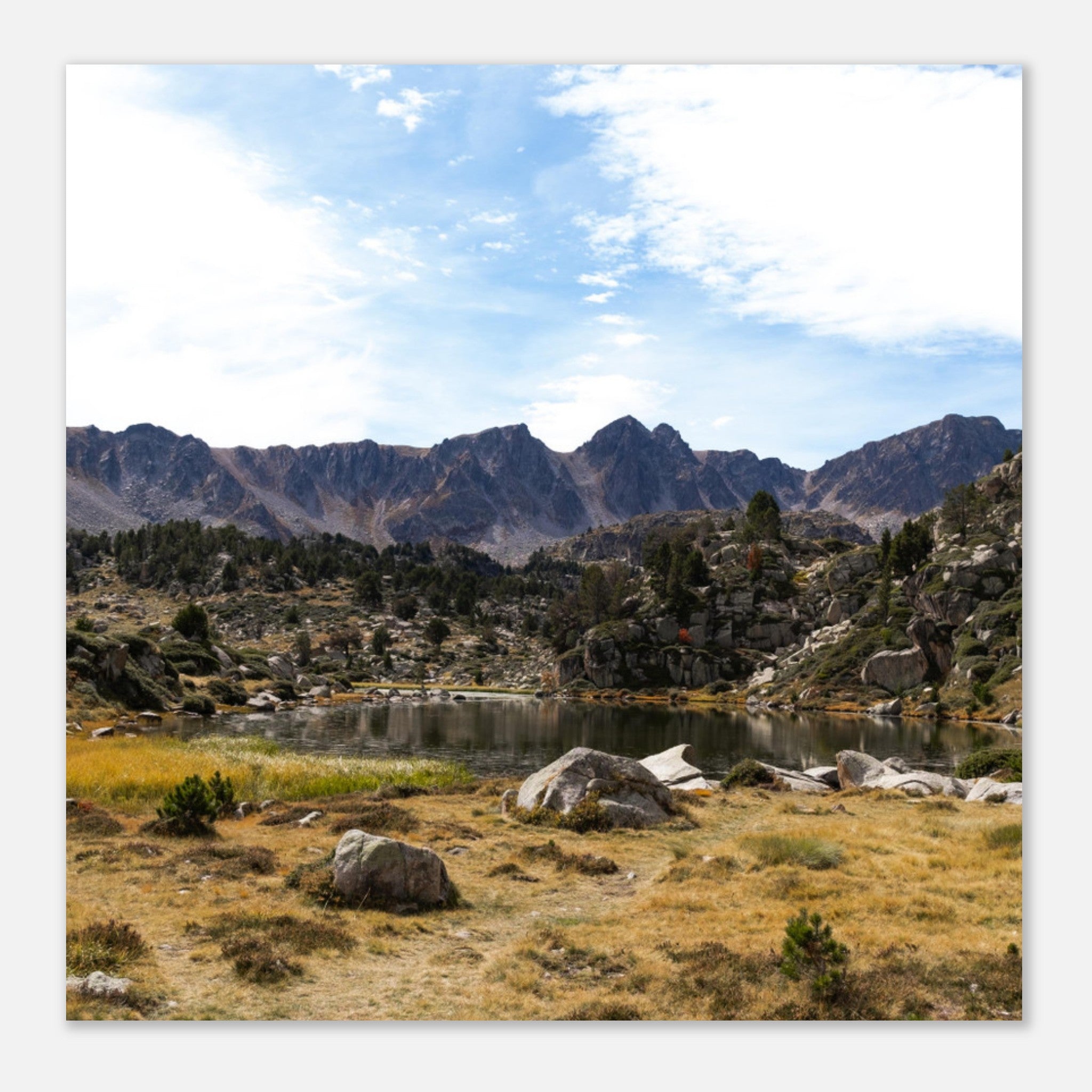 7d7a0da8-ec7a-40ac-bddc-5ea0e1c12fff