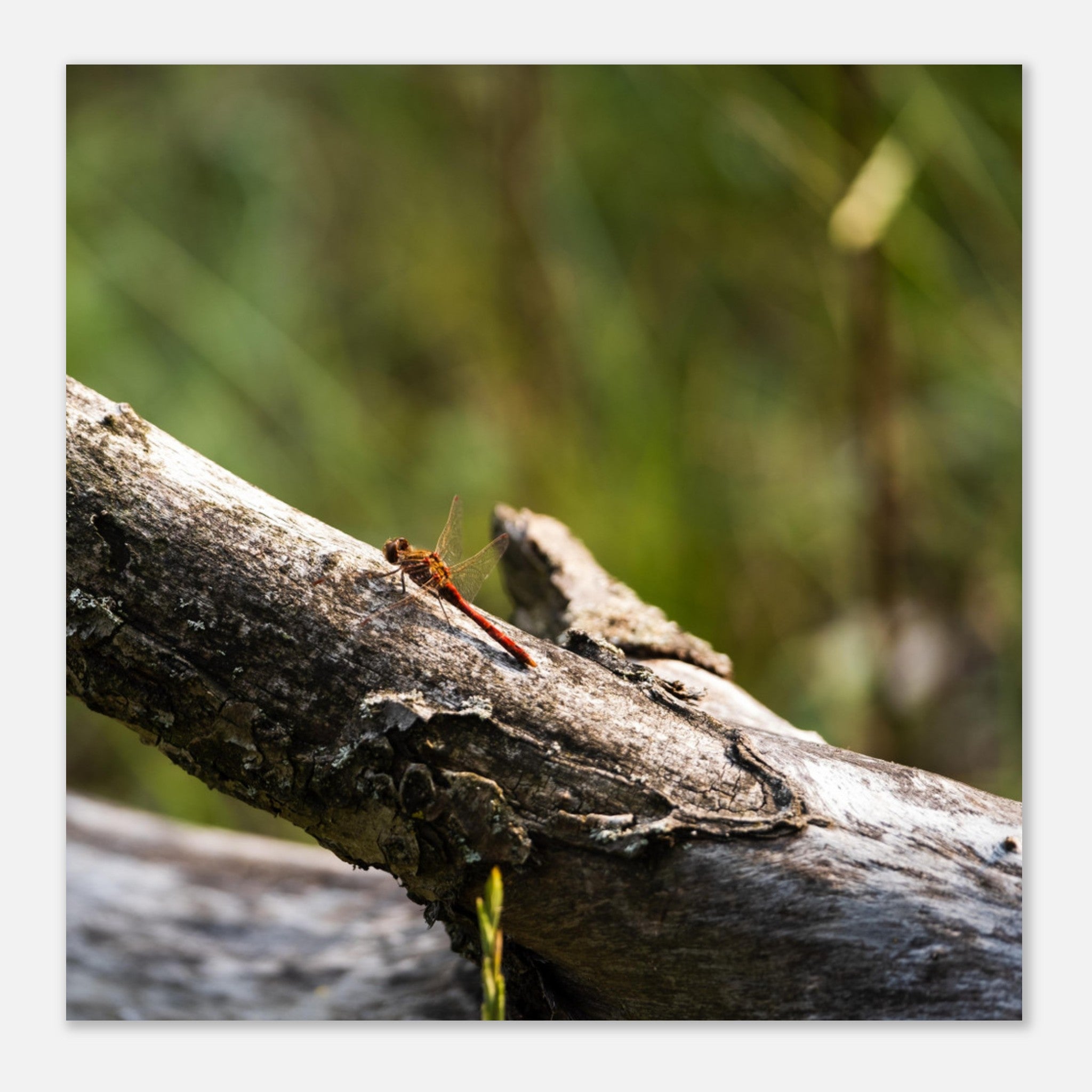 80be0f10-6578-4bf9-855e-d6f76cd83902