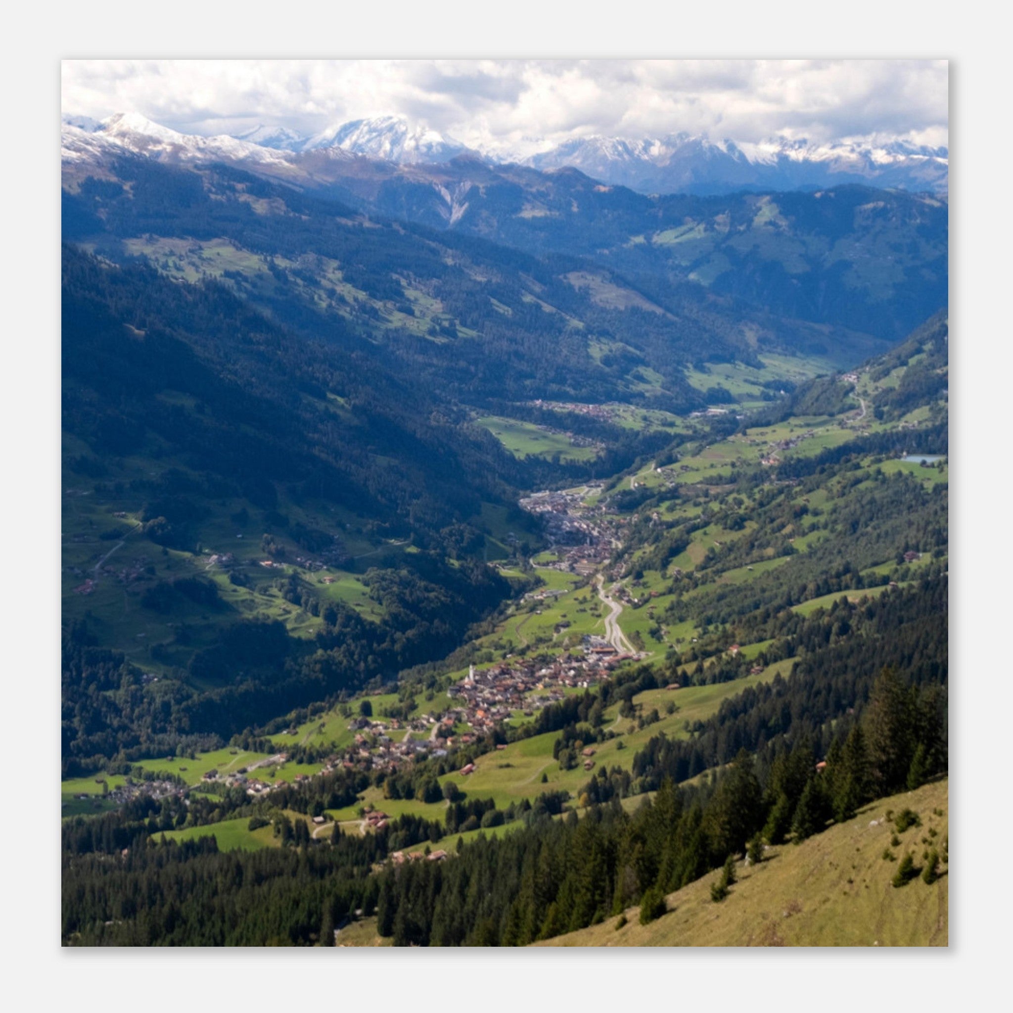 850dbbd7-8a93-497d-9b03-278e72d1e0b6