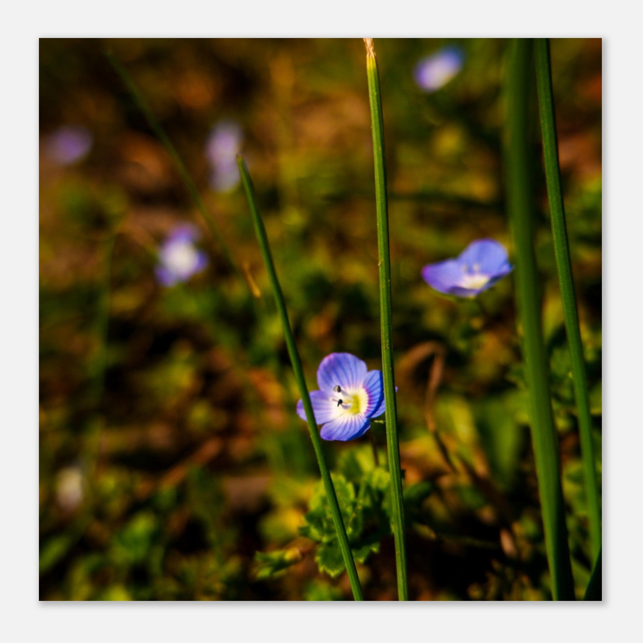 86831117-3ad0-4759-bee5-4065860597aa