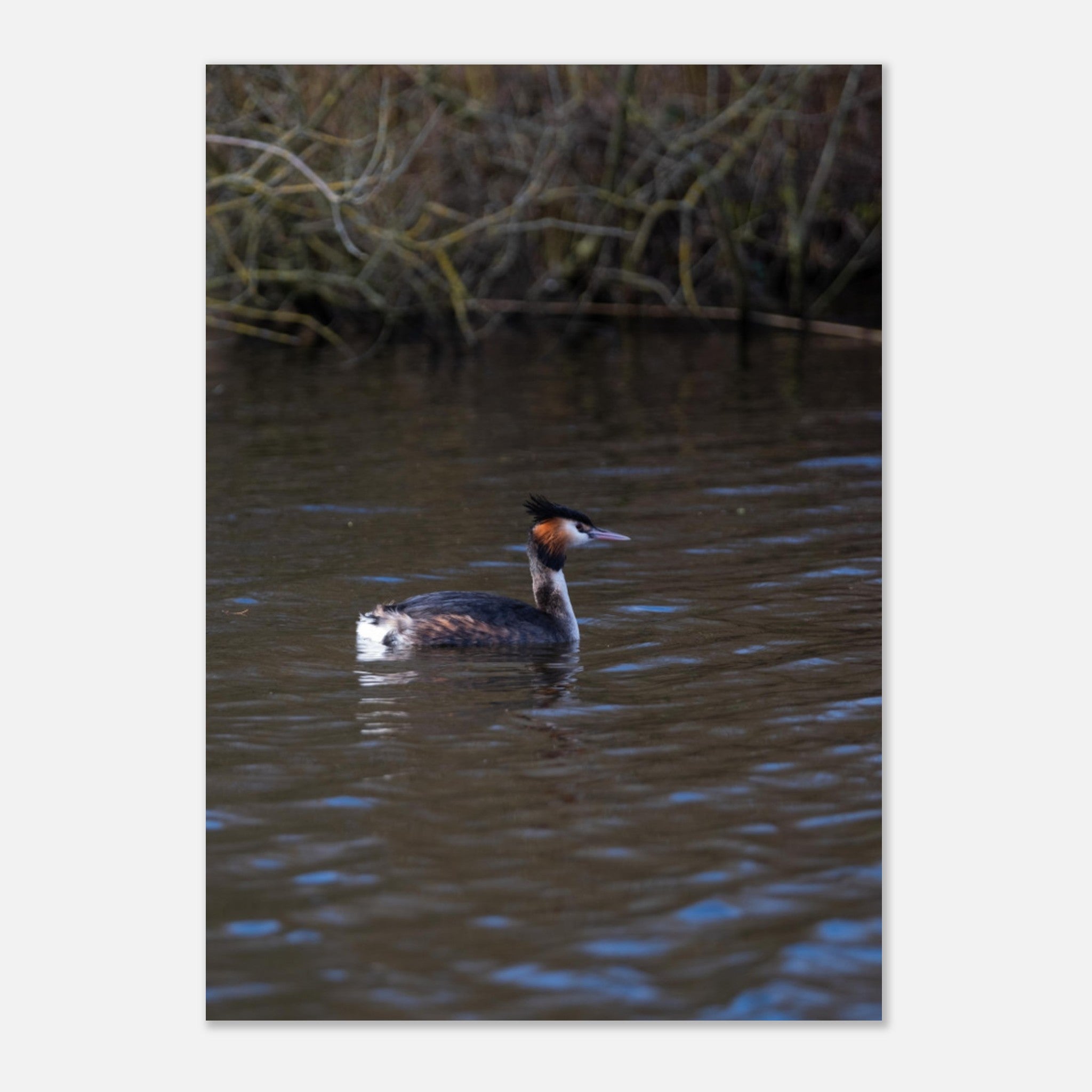 86fd9200-5cff-4ff2-a60f-eeeede220111