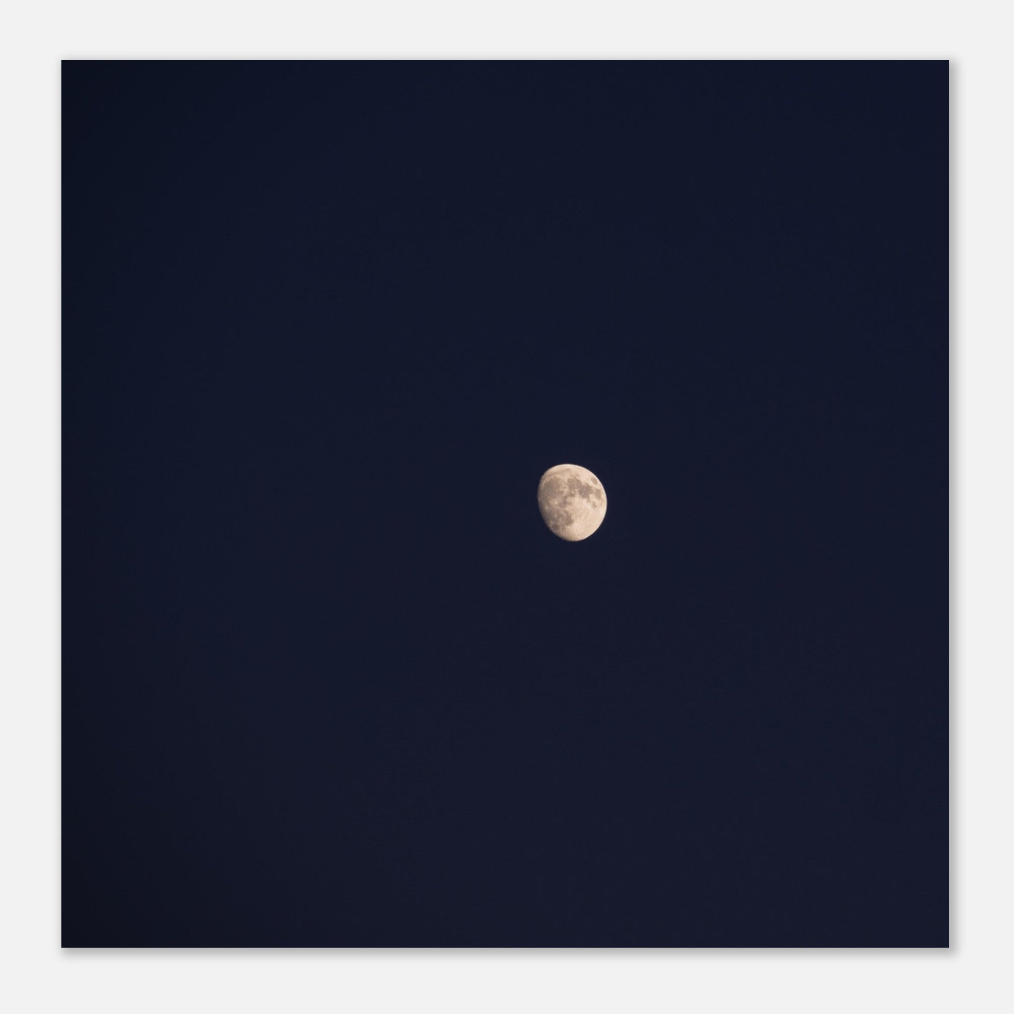 895424d2-b136-4e67-9d58-bc75c6de5c3b