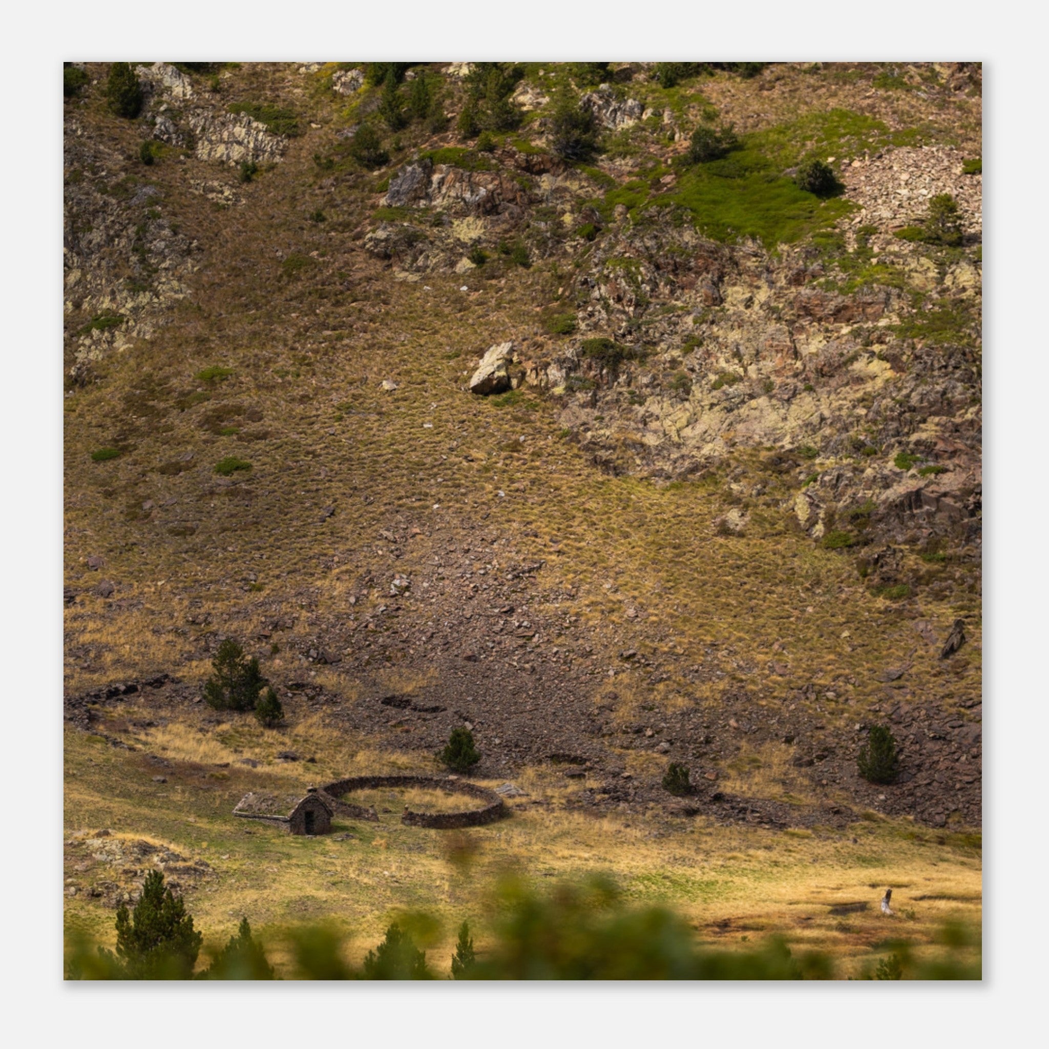 89d8283a-7018-427e-b955-36f7034fed08