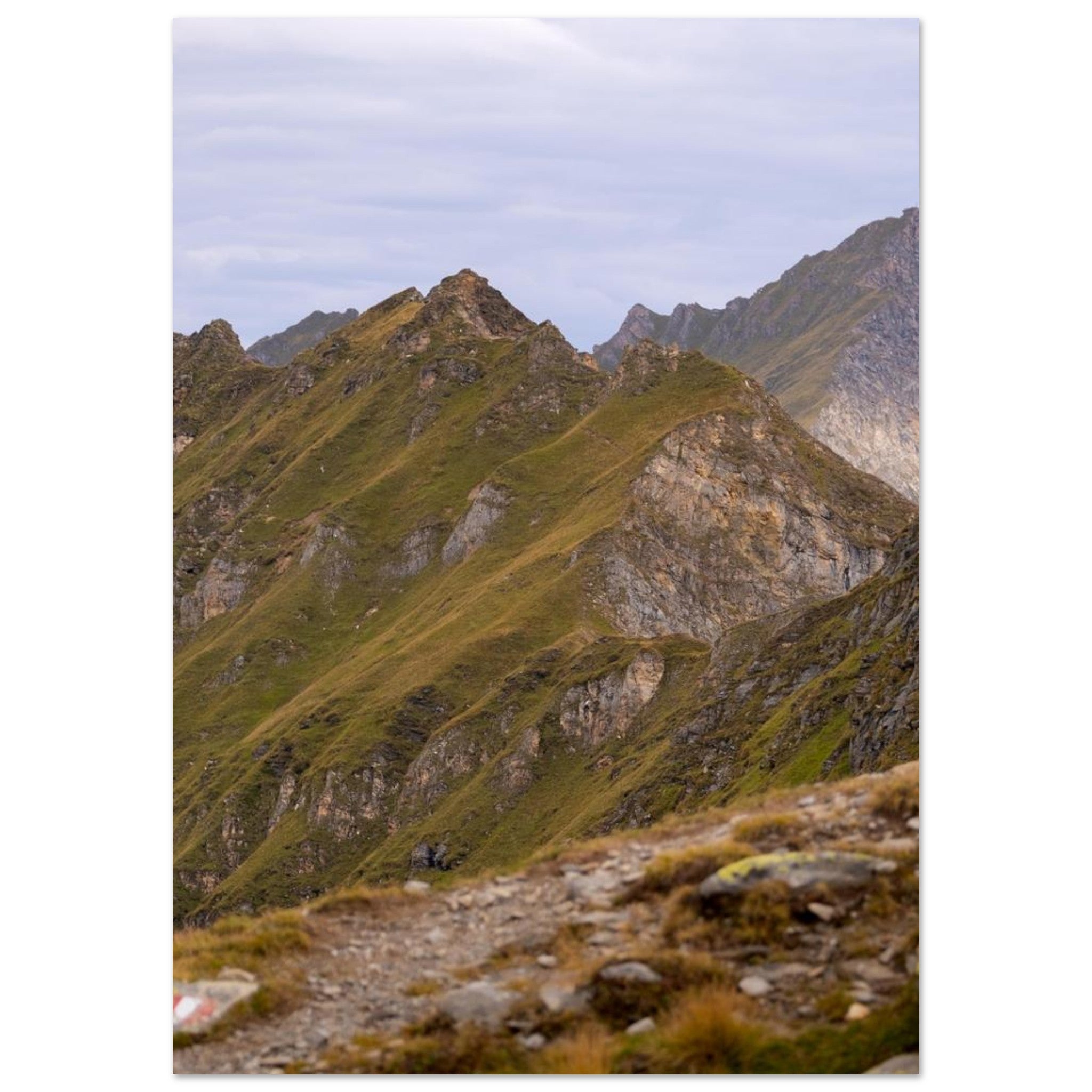 b0708daa-9aeb-43fa-ad7c-a2b26a143367