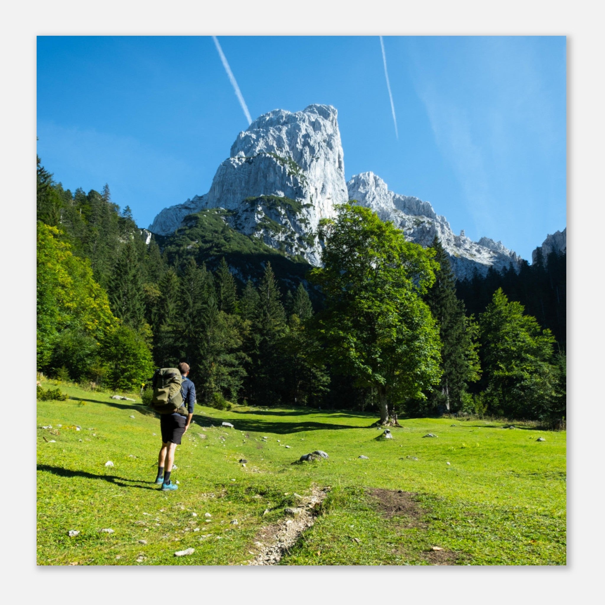 8e683935-25b4-41d3-ac08-c38ab87f4a2d