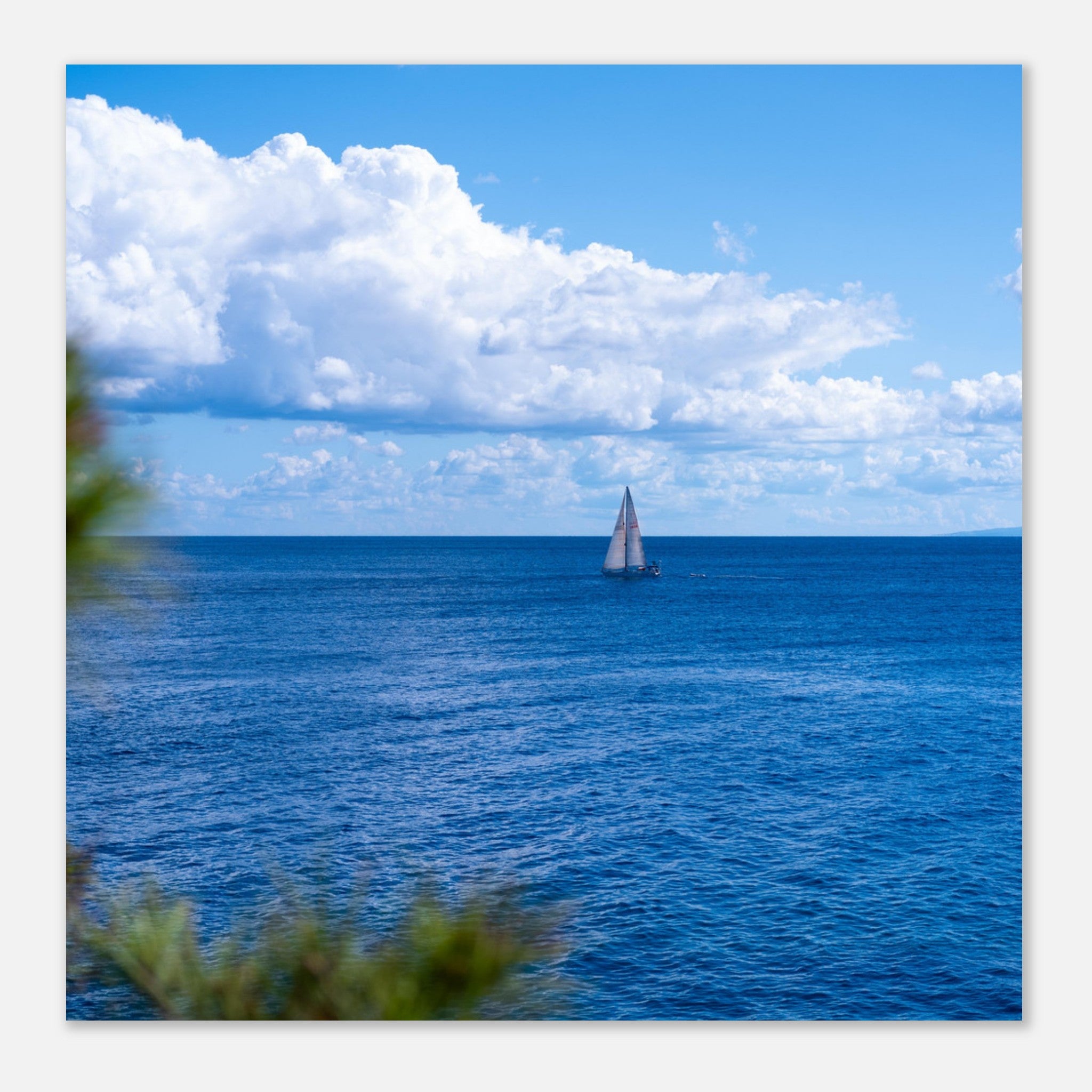 8e9a9a8d-61e3-434f-b994-be3b173adc29