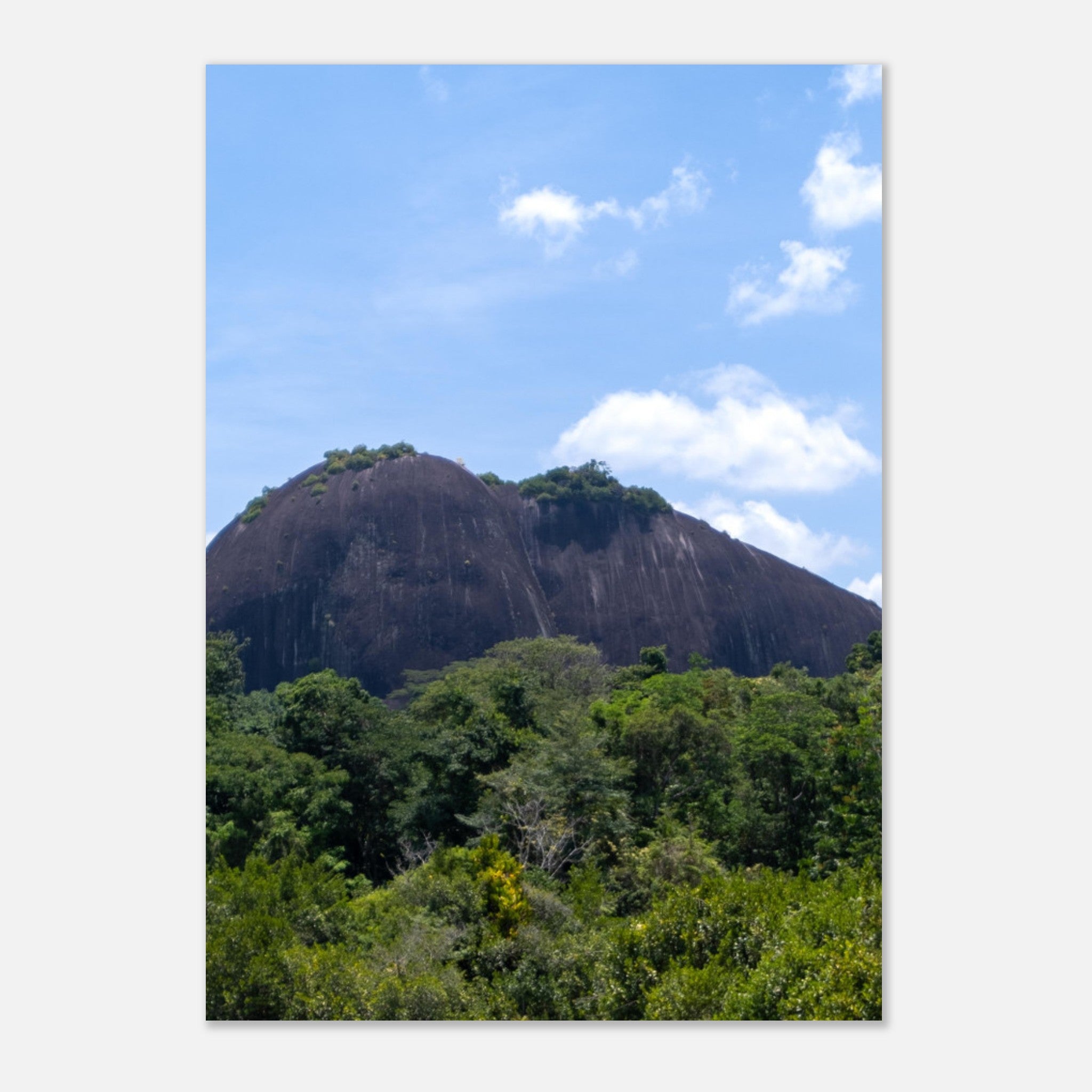 954e2a72-5259-4339-a0f2-b4c7c62a7ff9